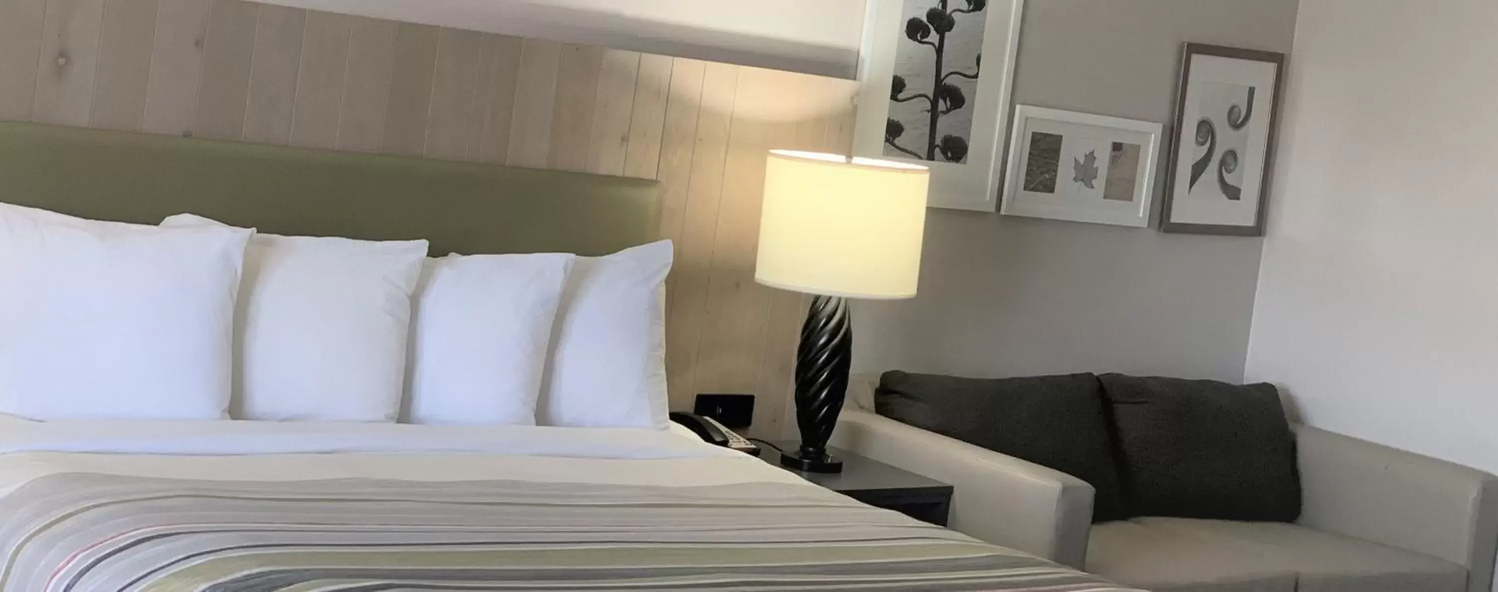 King Studio Suite with Sofa-Bed - Non-Smoking in Country Inn & Suites by Radisson, Clarksville, TN King Studio Suite with Sofa-Bed - Non-Smoking in Country Inn & Suites by Radisson, Clarksville, TN