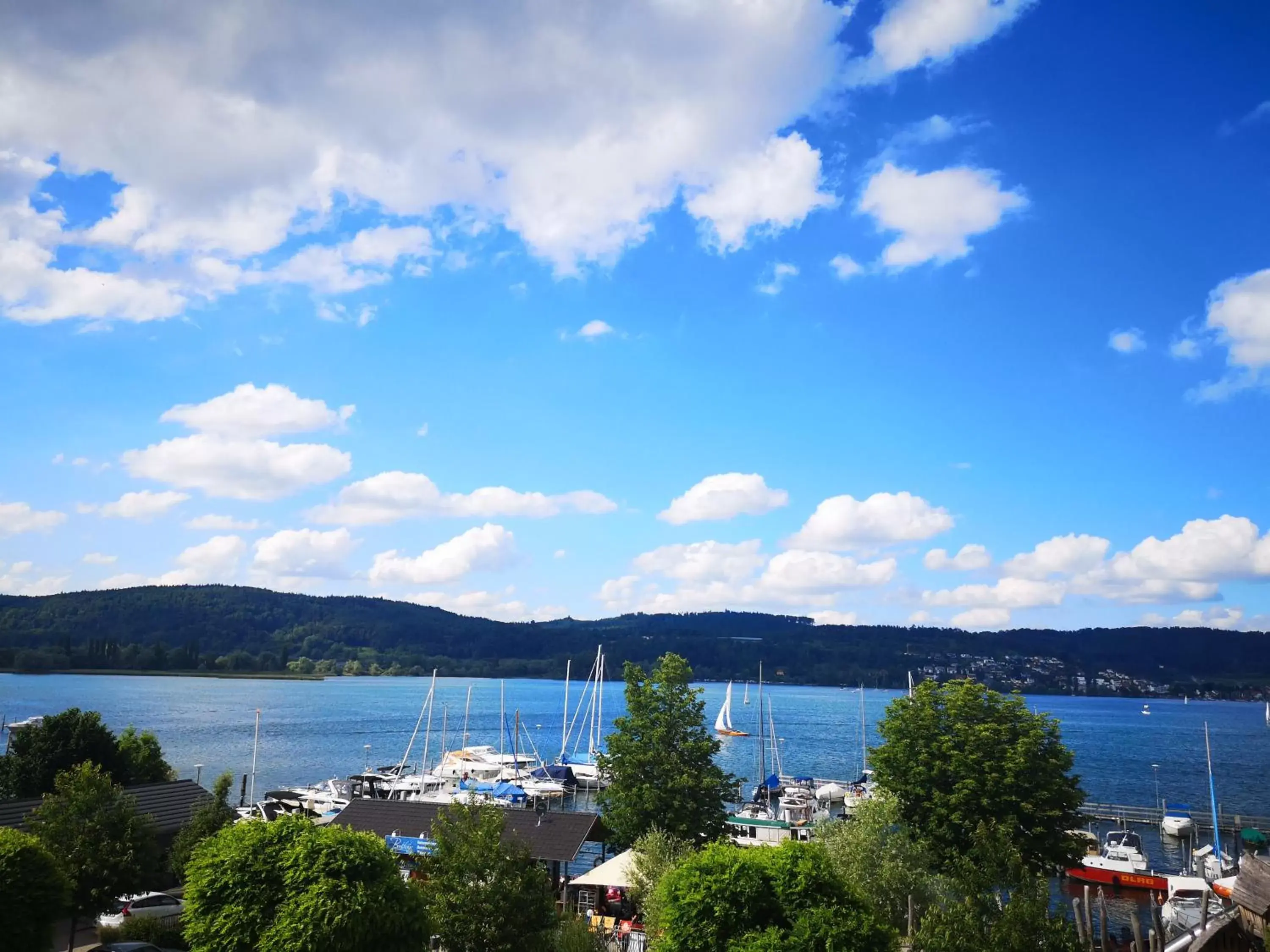 Double Room with Lake View - single occupancy in Seehotel Villa Linde Double Room with Lake View - single occupancy in Seehotel Villa Linde