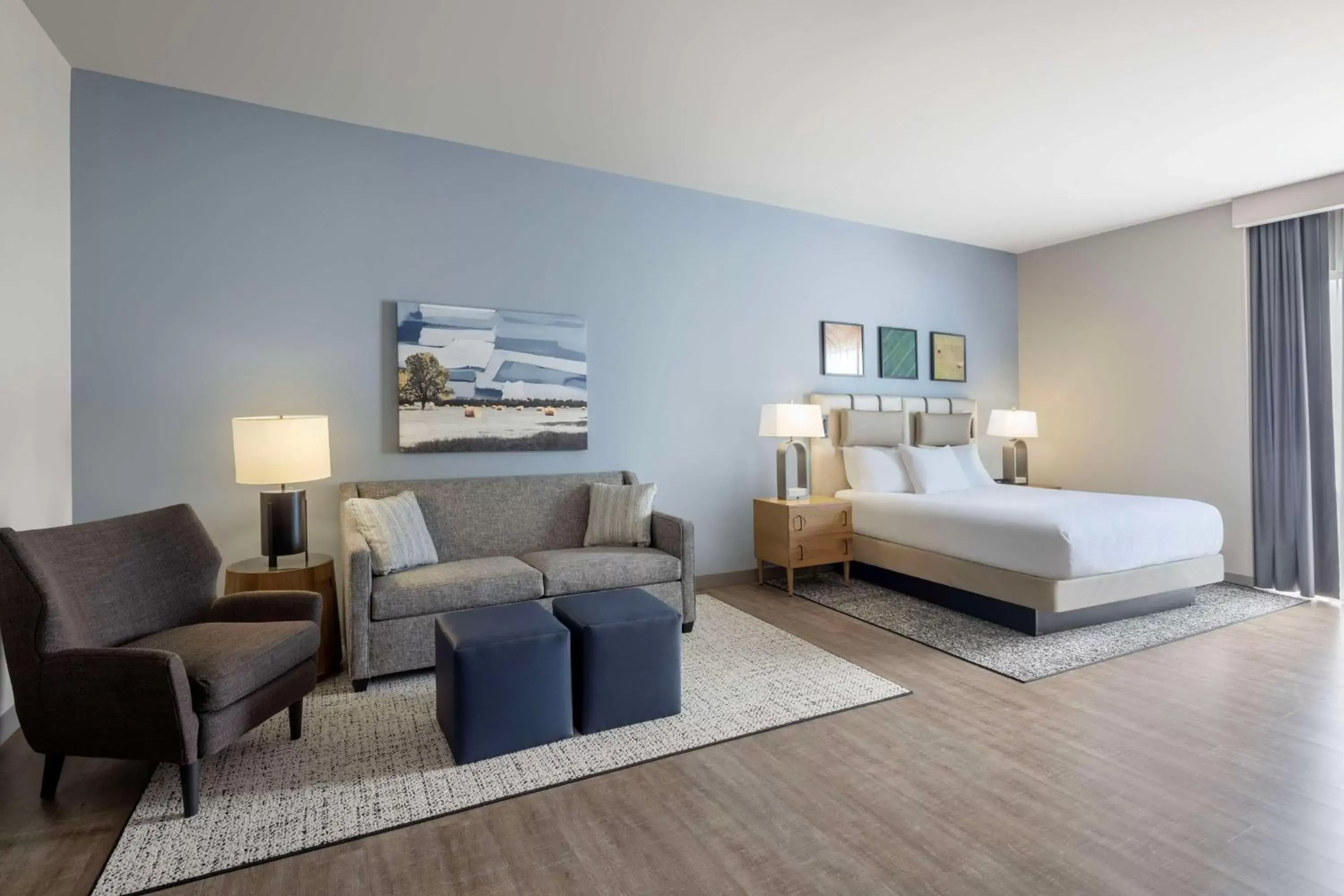 Deluxe King Studio Suite in Embassy Suites By Hilton Bowling Green Deluxe King Studio Suite in Embassy Suites By Hilton Bowling Green