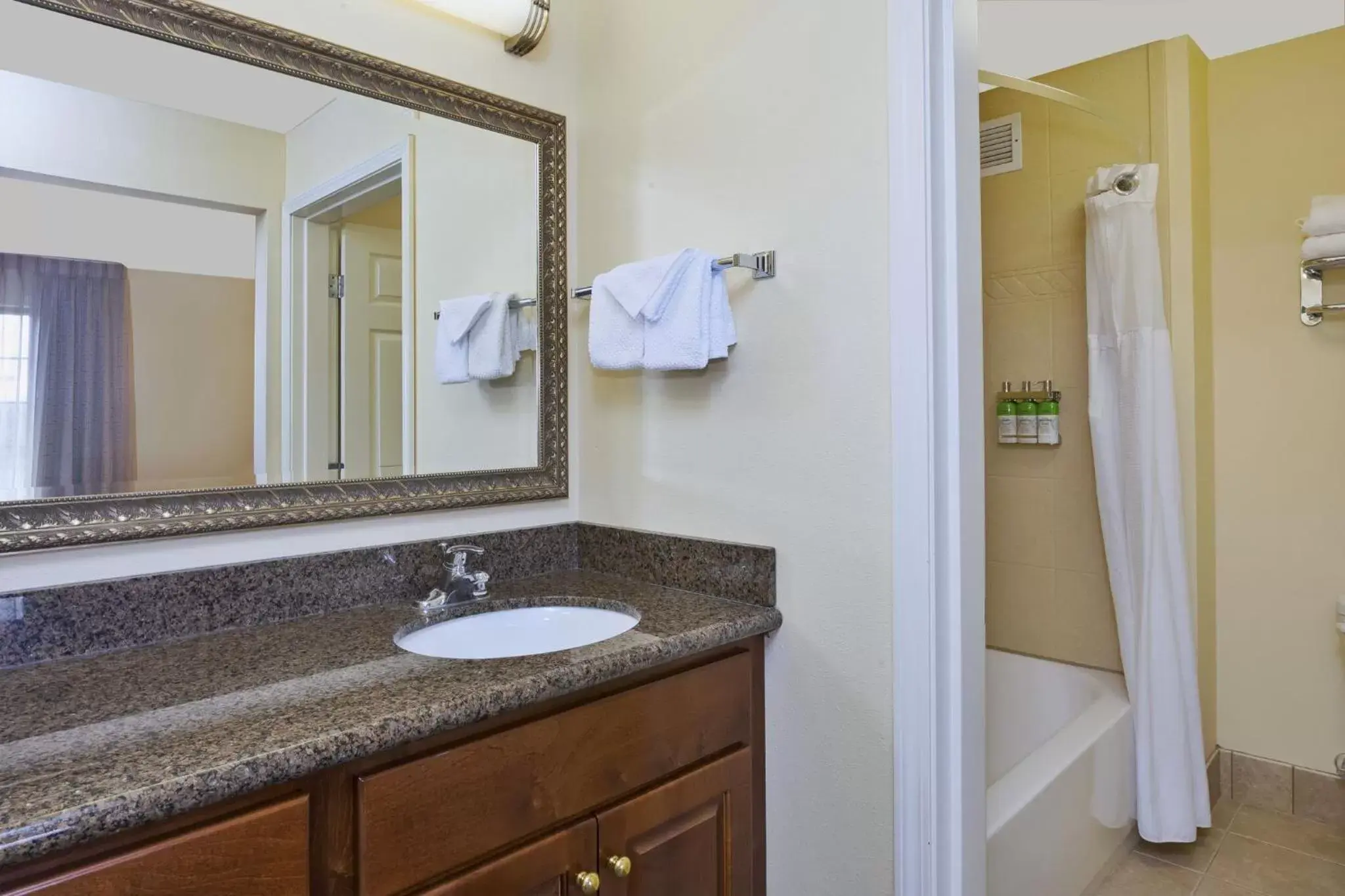 One-Bedroom Queen Suite in Staybridge Suites Lansing-Okemos by IHG One-Bedroom Queen Suite in Staybridge Suites Lansing-Okemos by IHG