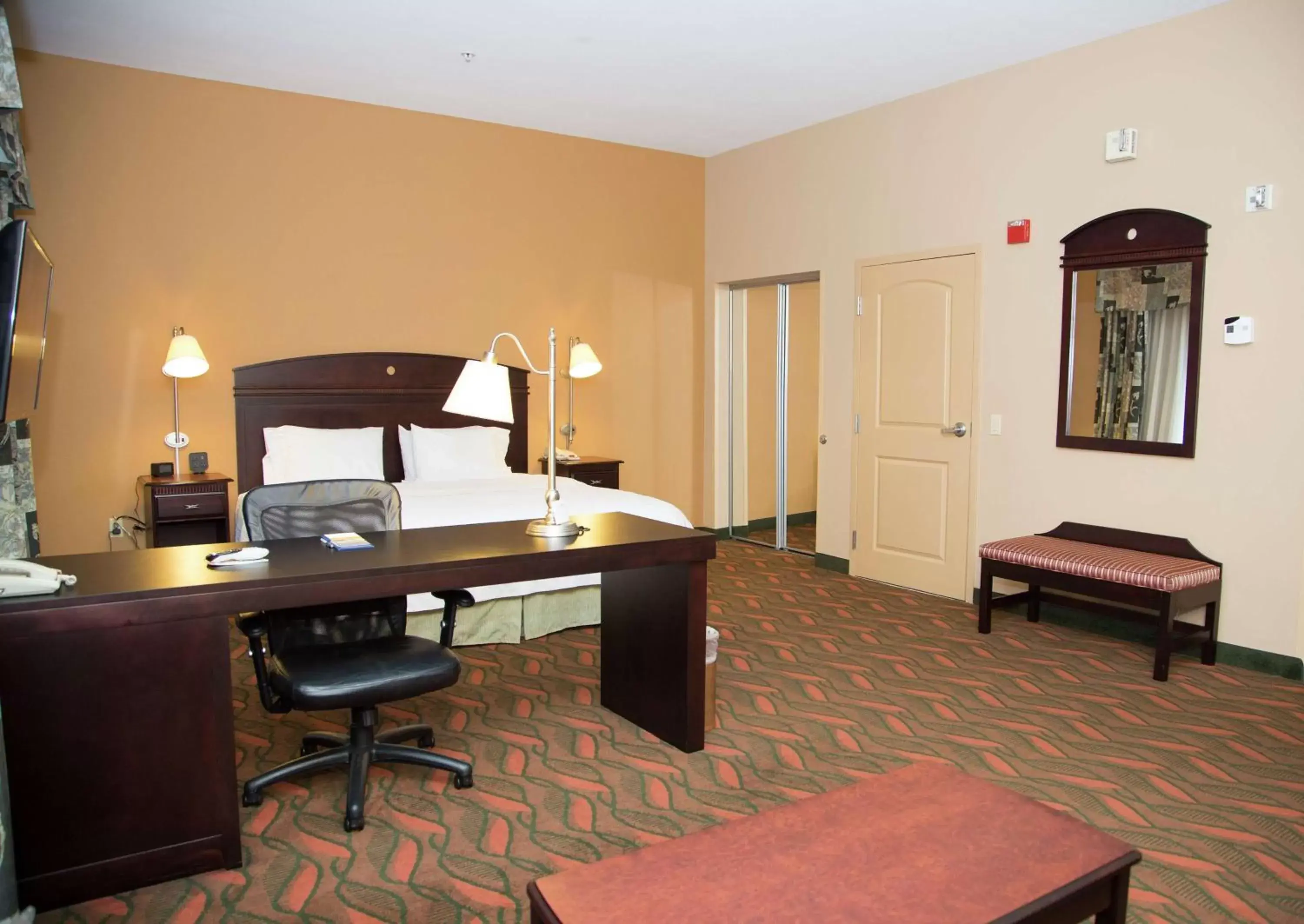 King Room with King Bed - Non-Smoking in Hampton Inn & Suites Houston Rosenberg King Room with King Bed - Non-Smoking in Hampton Inn & Suites Houston Rosenberg