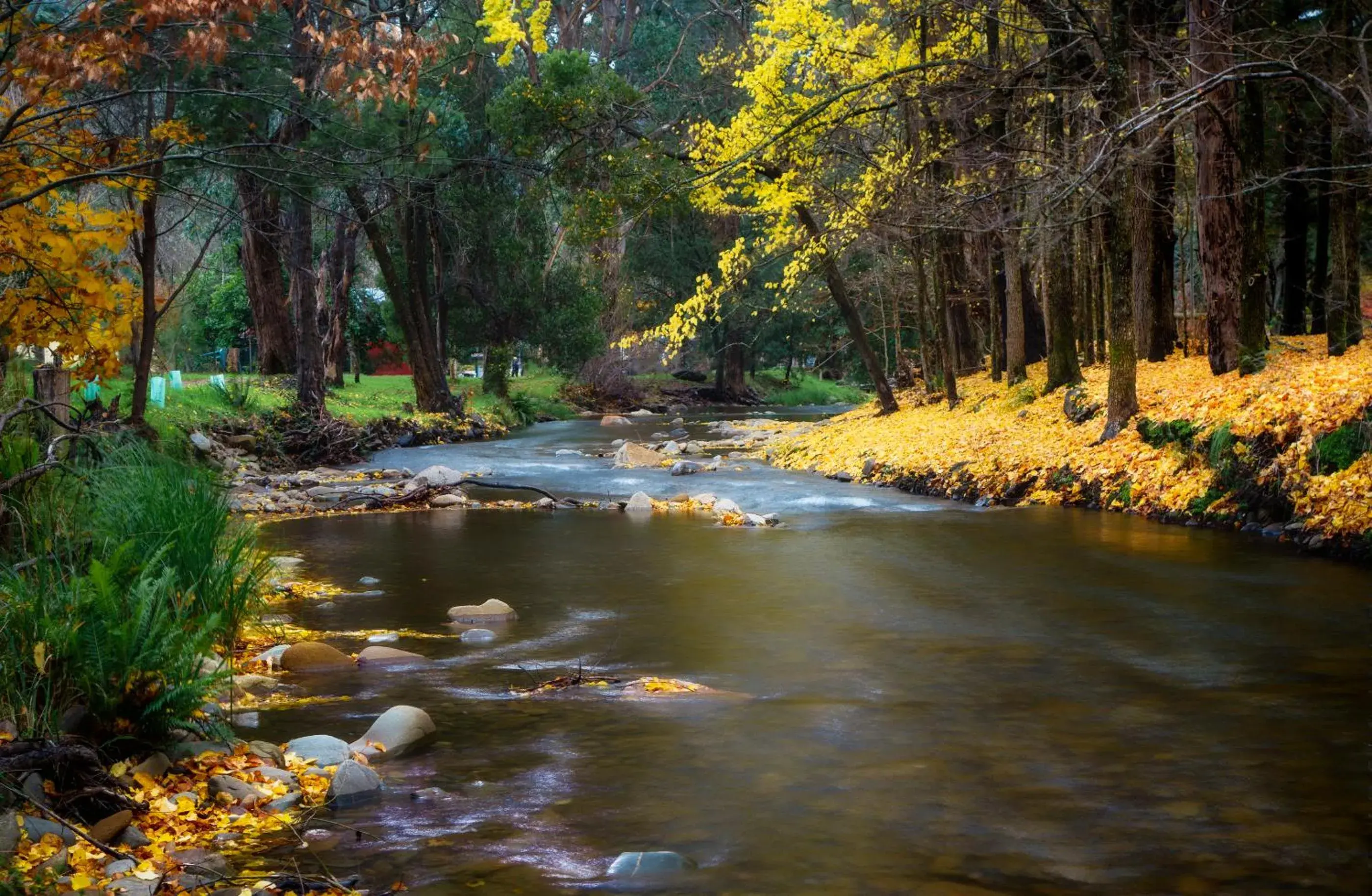 Goldfield Holiday Units Goldfield Holiday Units