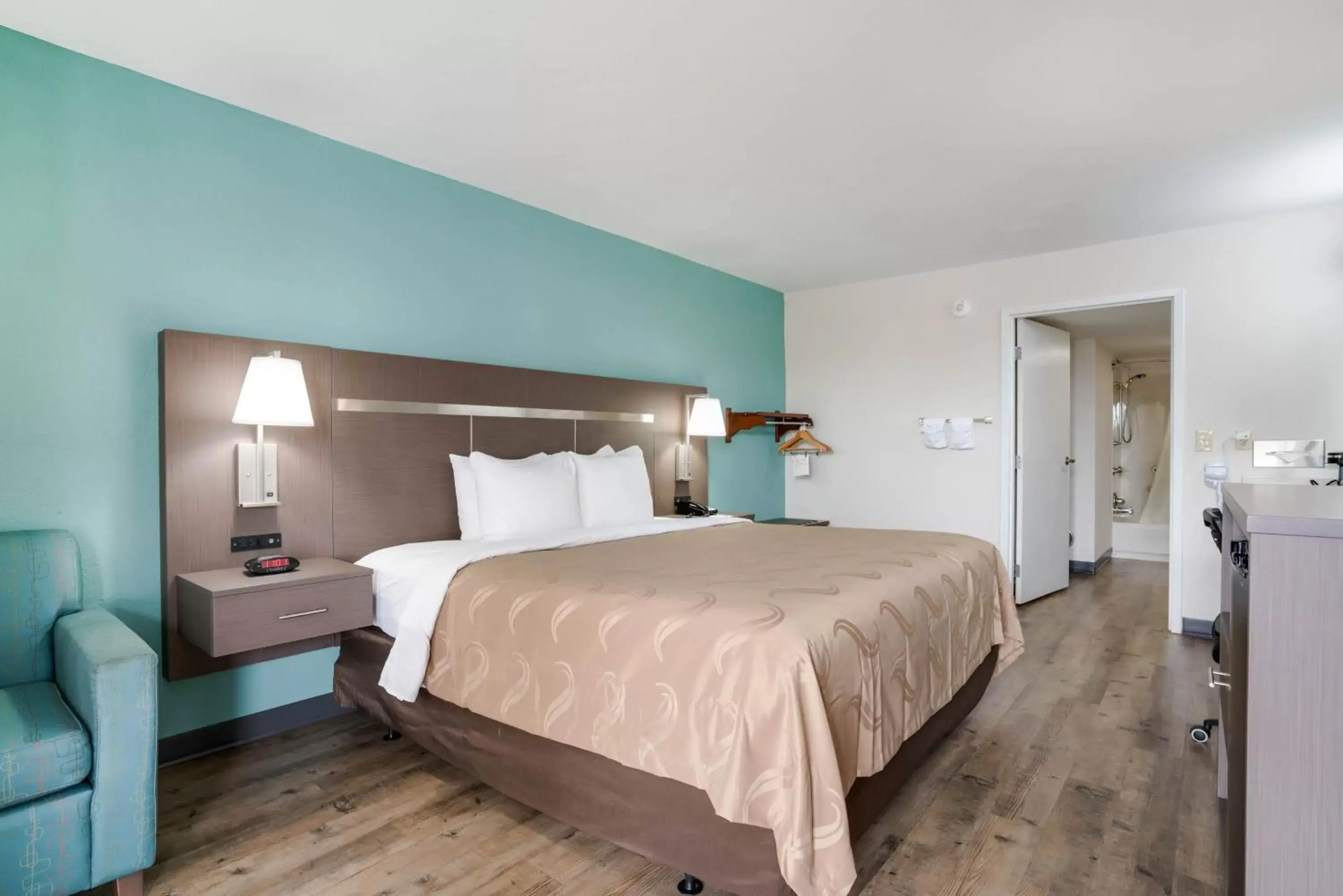 King Room - Accessible/Smoking in Quality Inn Greenville near University King Room - Accessible/Smoking in Quality Inn Greenville near University