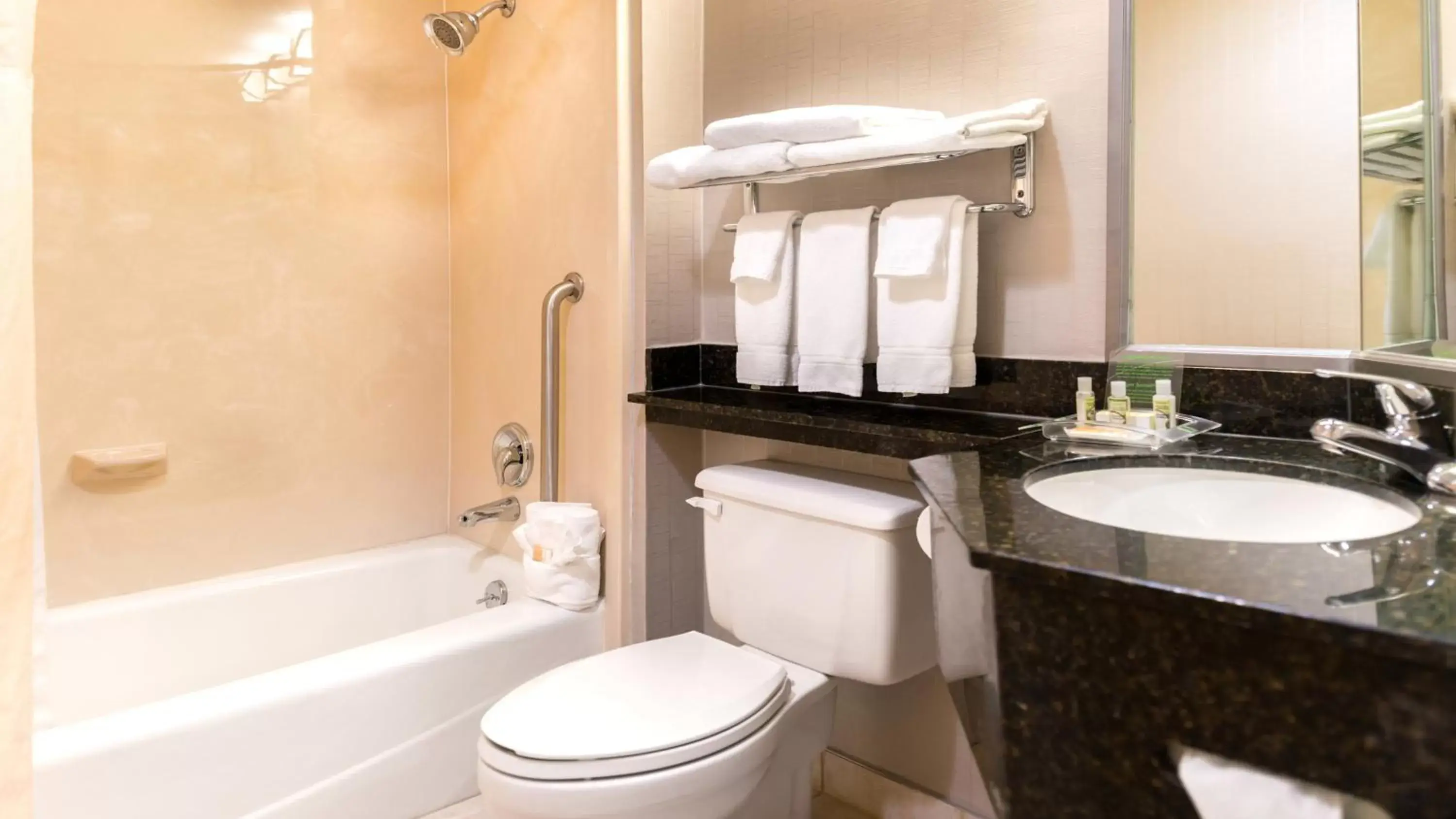 Suite with Mobility Accessible Tub - Non-Smoking in Holiday Inn Hotel & Suites Warren by IHG Suite with Mobility Accessible Tub - Non-Smoking in Holiday Inn Hotel & Suites Warren by IHG