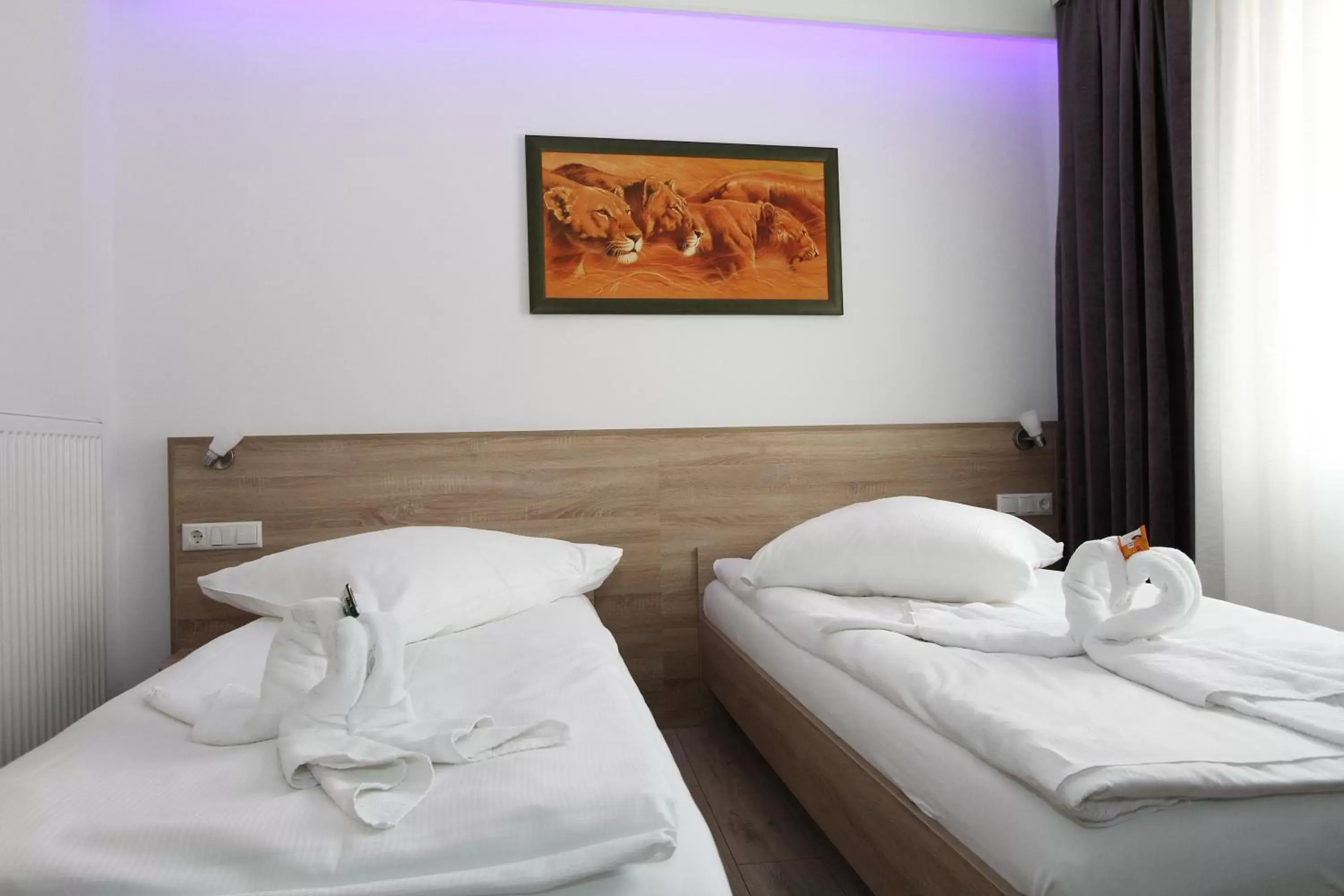 Double Room - single occupancy in Pension Villa Colosseo im Herzen von Meiningen Double Room - single occupancy in Pension Villa Colosseo im Herzen von Meiningen