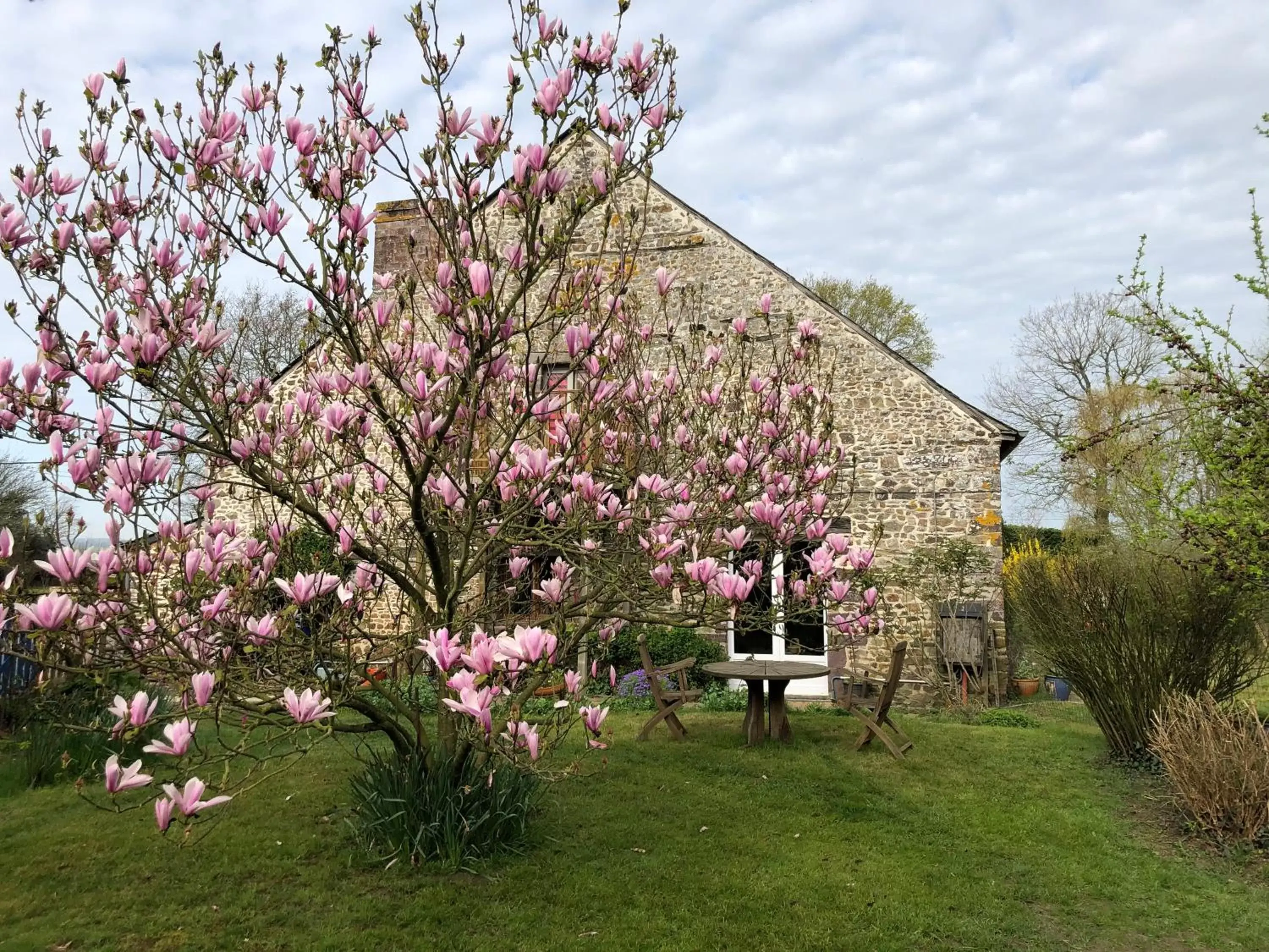 Chambres d'Hôtes Bastia et Bonifacio Chambres d'Hôtes Bastia et Bonifacio