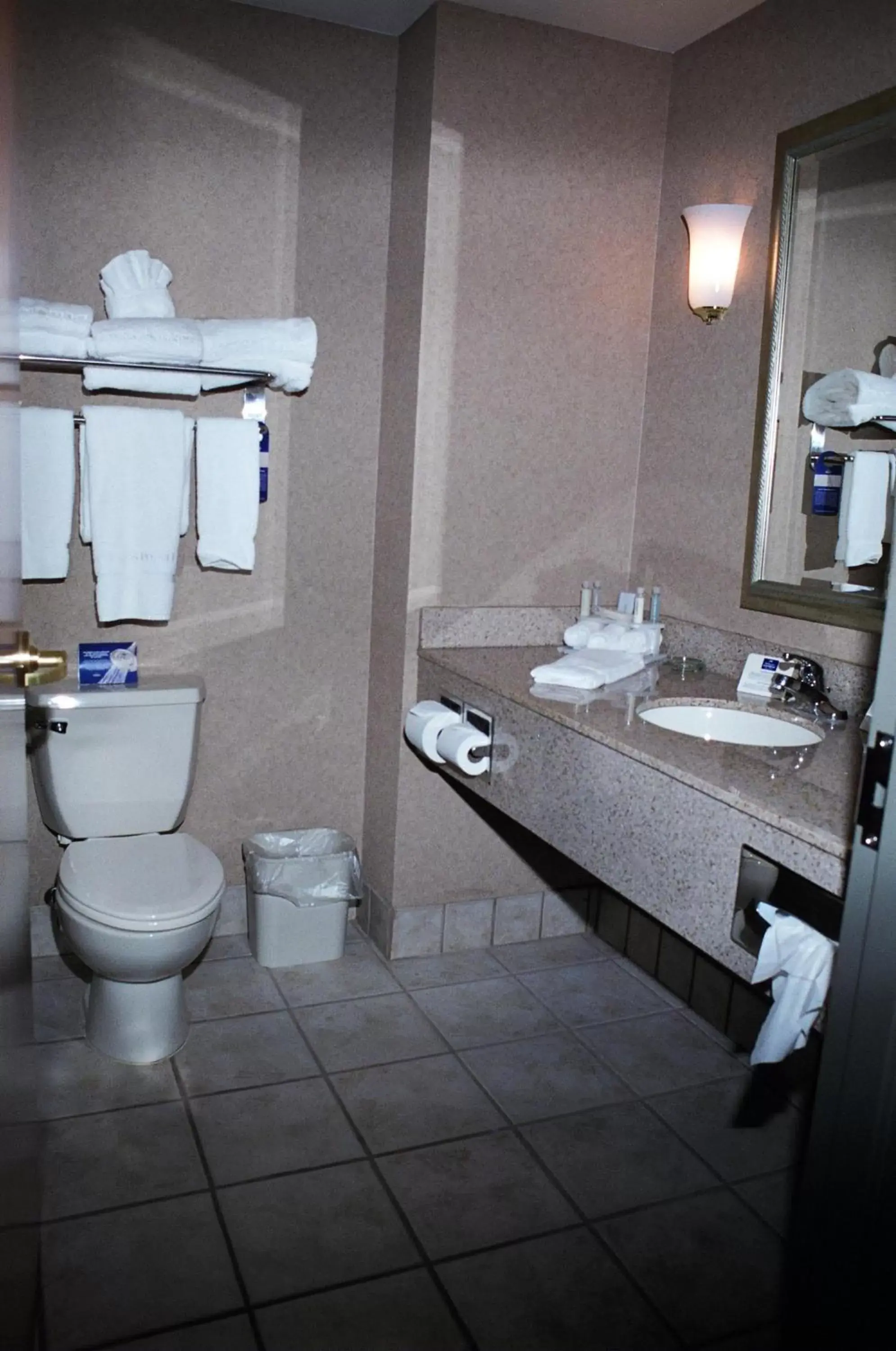 Holiday Inn Express Hotel & Suites Bryan-Montpelier by IHG Holiday Inn Express Hotel & Suites Bryan-Montpelier by IHG