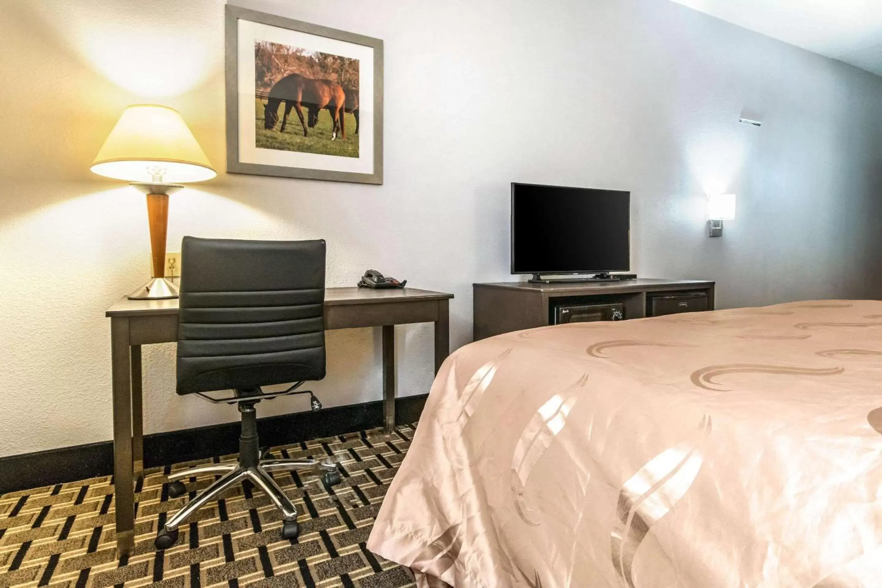 Queen Room with Two Queen Beds - Non-Smoking in Quality Inn Lexington East Hamburg Area Queen Room with Two Queen Beds - Non-Smoking in Quality Inn Lexington East Hamburg Area