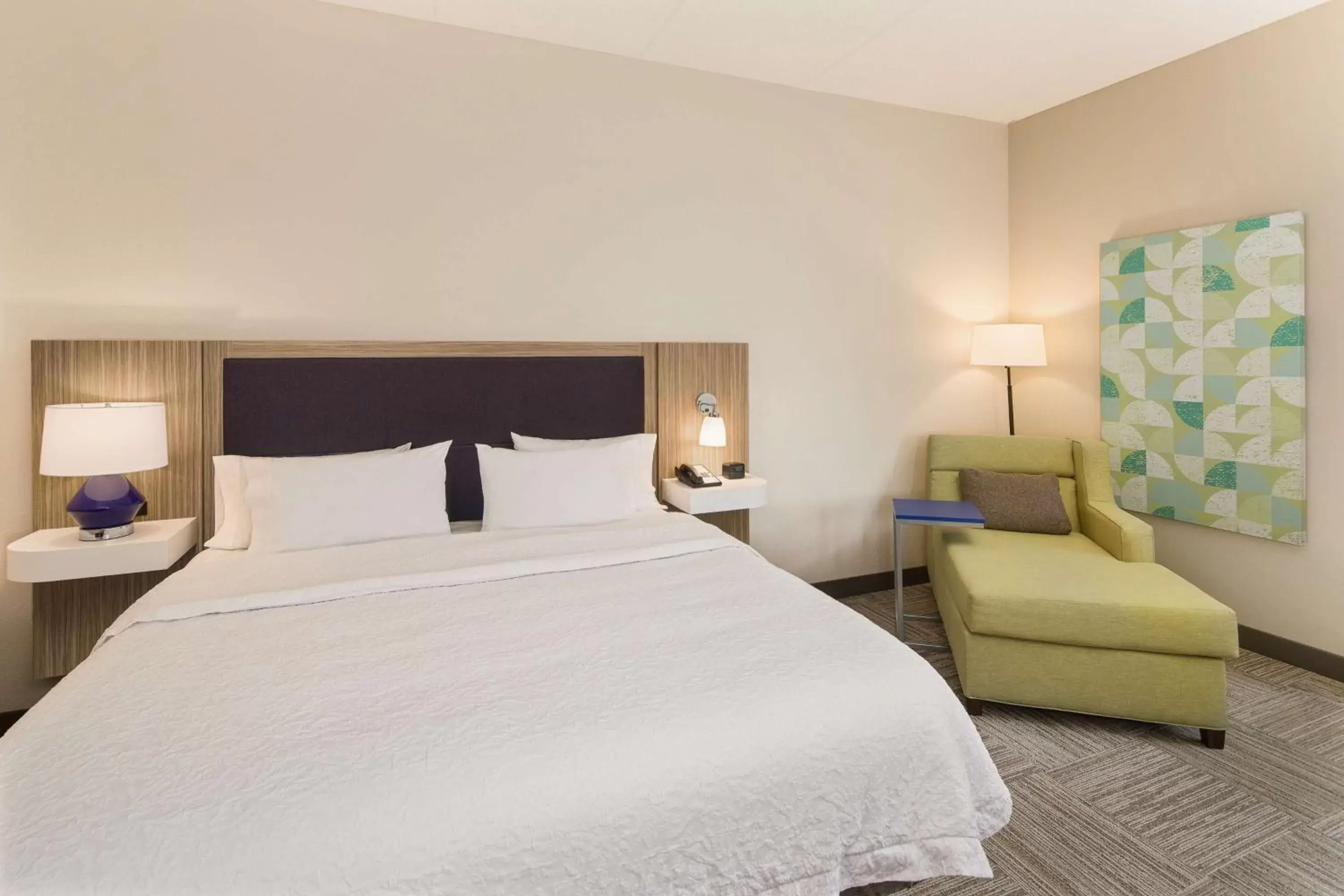 King Room with Shower - Non-Smoking in Hampton Inn Lagrange near Callaway Gardens King Room with Shower - Non-Smoking in Hampton Inn Lagrange near Callaway Gardens