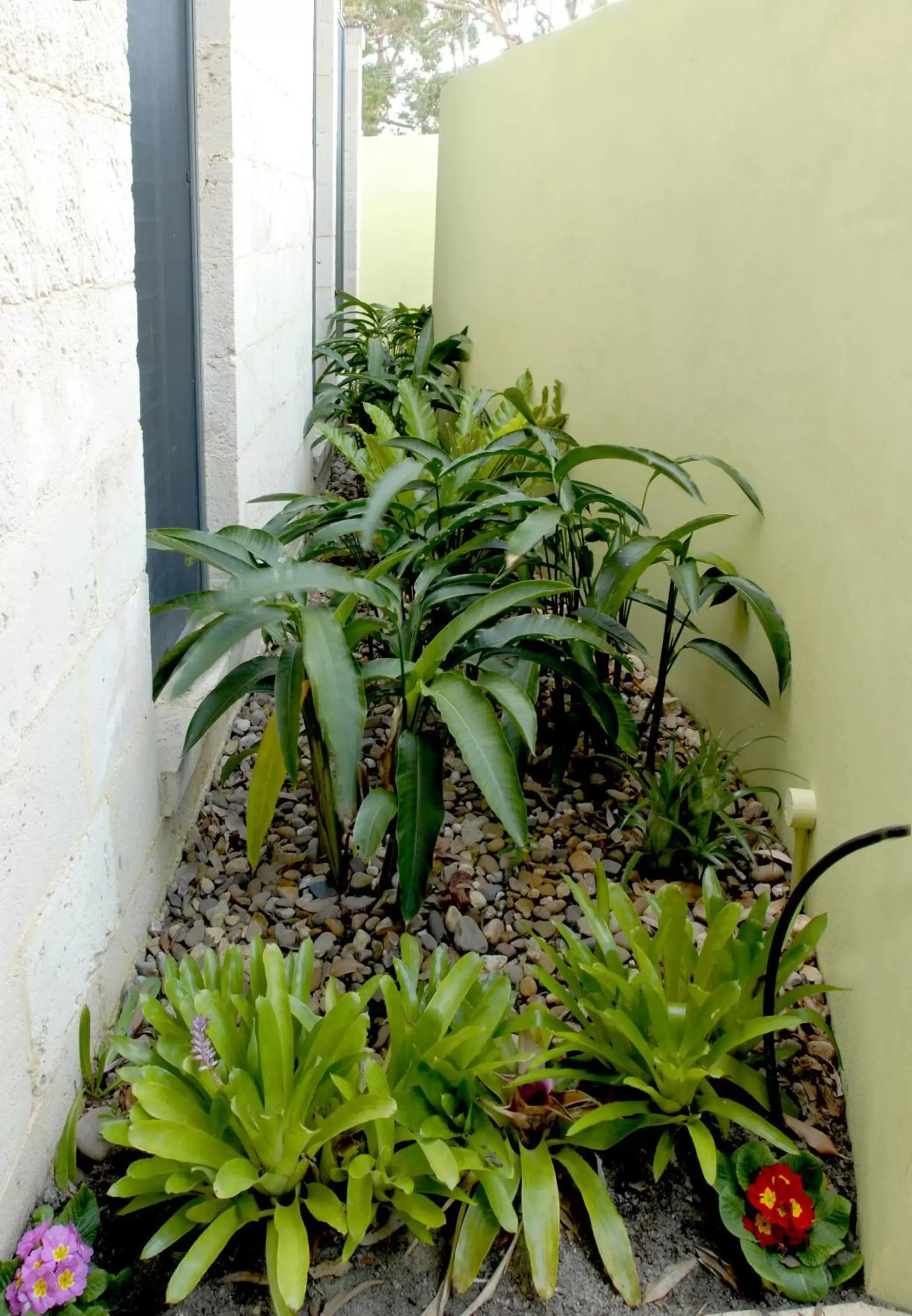 One-Bedroom Apartment - Murrays in By the Beach B&B Self Contained Apartments One-Bedroom Apartment - Murrays in By the Beach B&B Self Contained Apartments