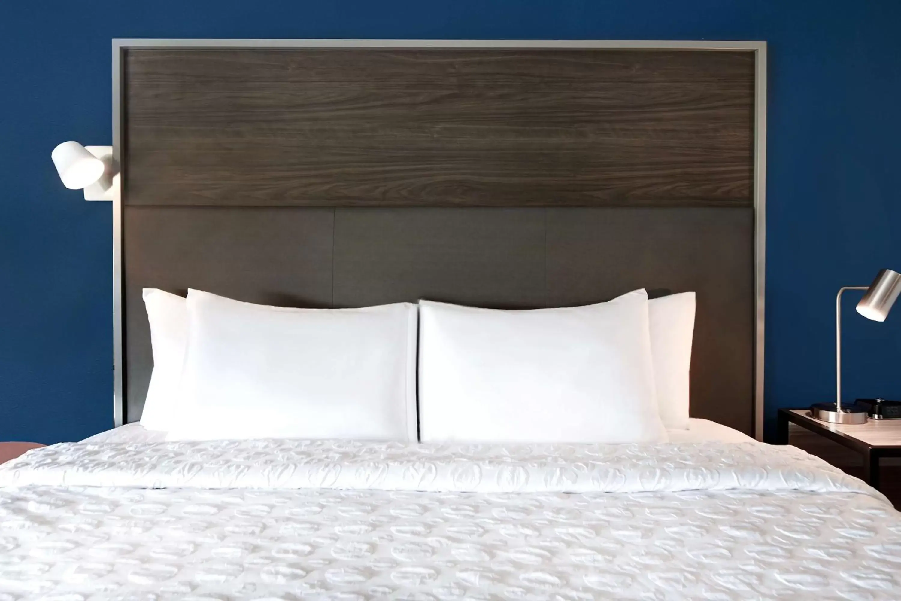 King Room in Tru By Hilton Columbia Greystone King Room in Tru By Hilton Columbia Greystone