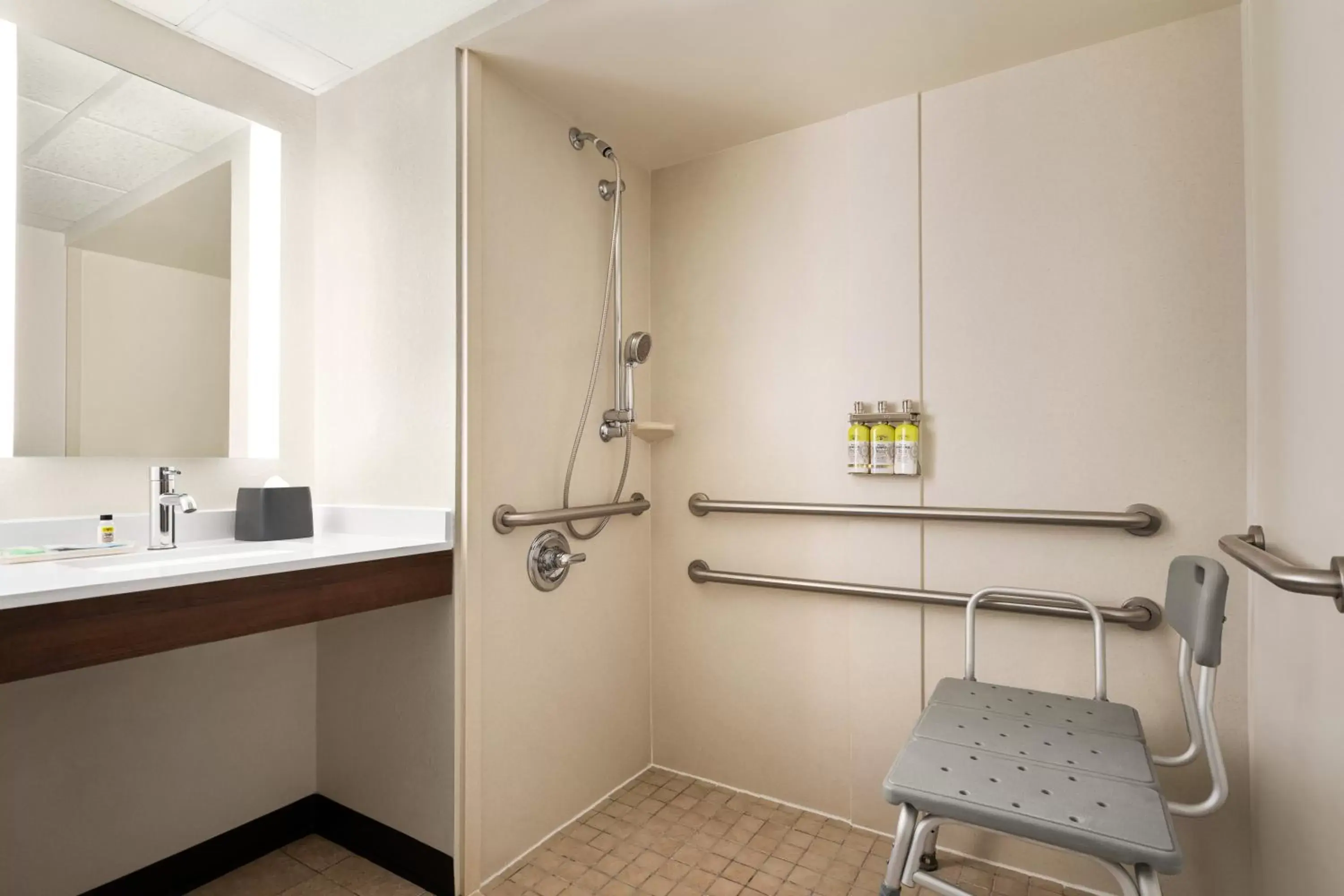 Standard King Room with Roll-in Shower - Mobility Accessible in Holiday Inn Florence by IHG Standard King Room with Roll-in Shower - Mobility Accessible in Holiday Inn Florence by IHG