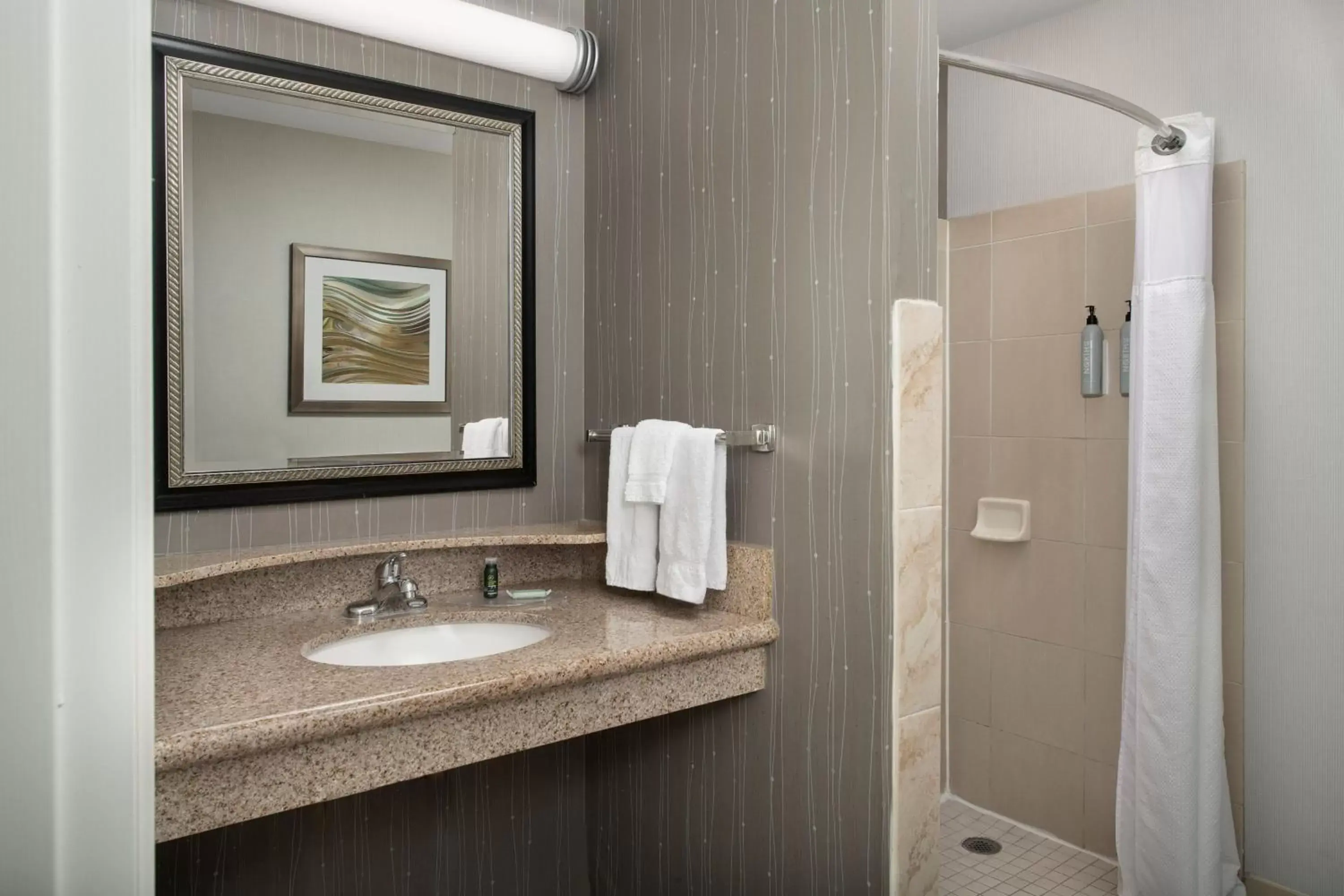 King Suite with Sofa Bed in Courtyard Chico King Suite with Sofa Bed in Courtyard Chico