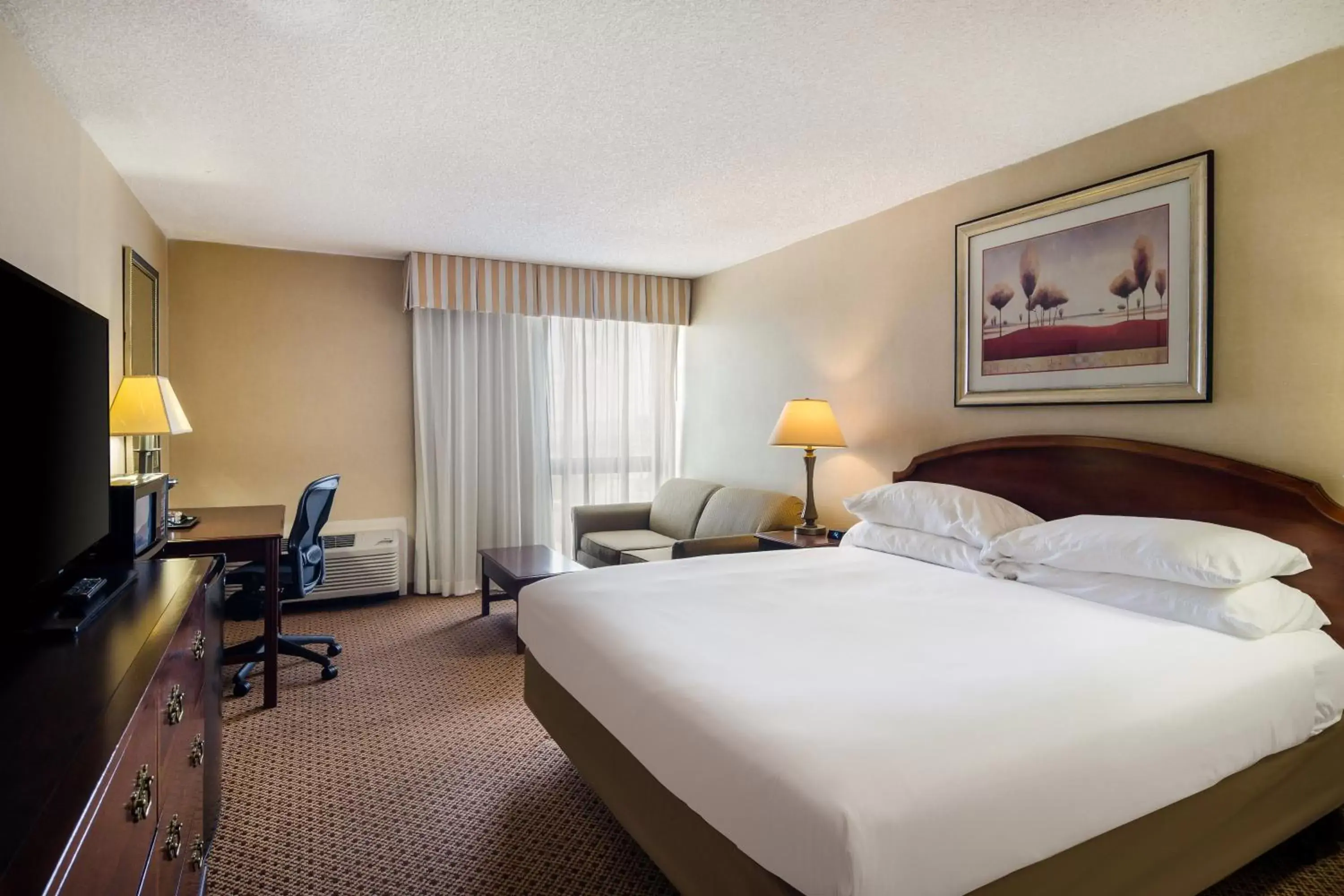 Accessible King Bed in Red Lion Hotel Cheyenne Accessible King Bed in Red Lion Hotel Cheyenne