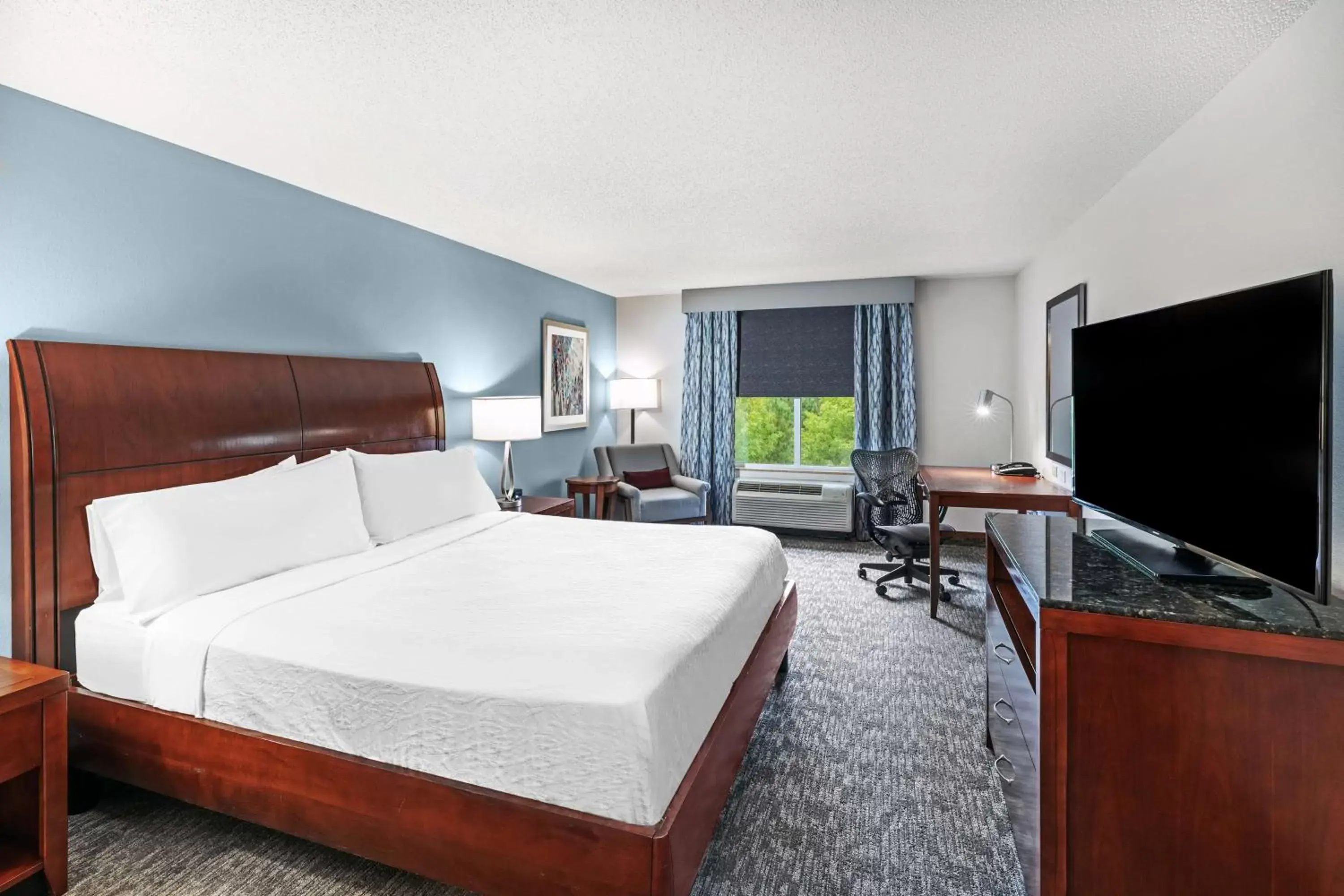 King Room in Hilton Garden Inn Aiken King Room in Hilton Garden Inn Aiken