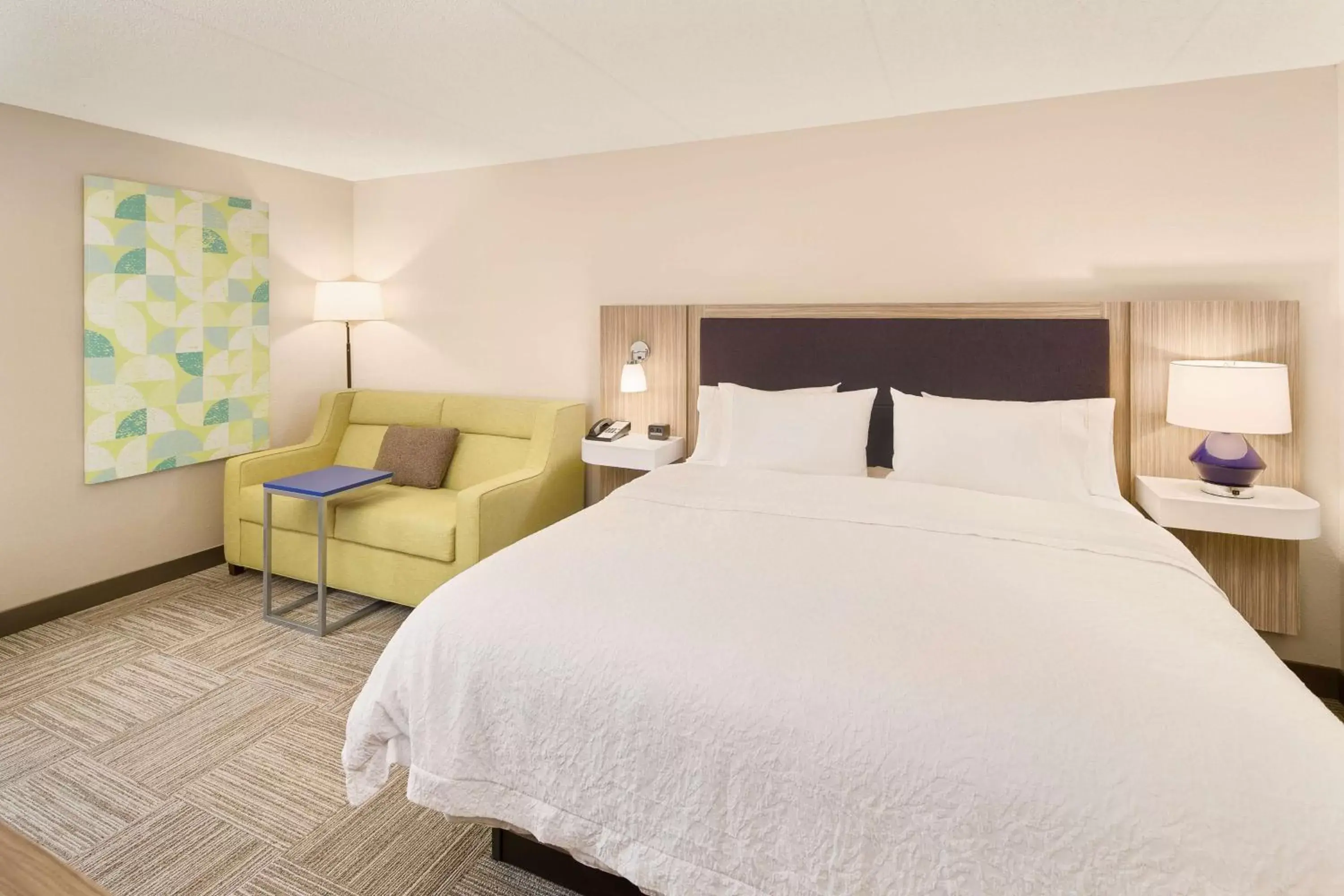 King Room with Sofa Bed - Non-Smoking in Hampton Inn Lagrange near Callaway Gardens King Room with Sofa Bed - Non-Smoking in Hampton Inn Lagrange near Callaway Gardens