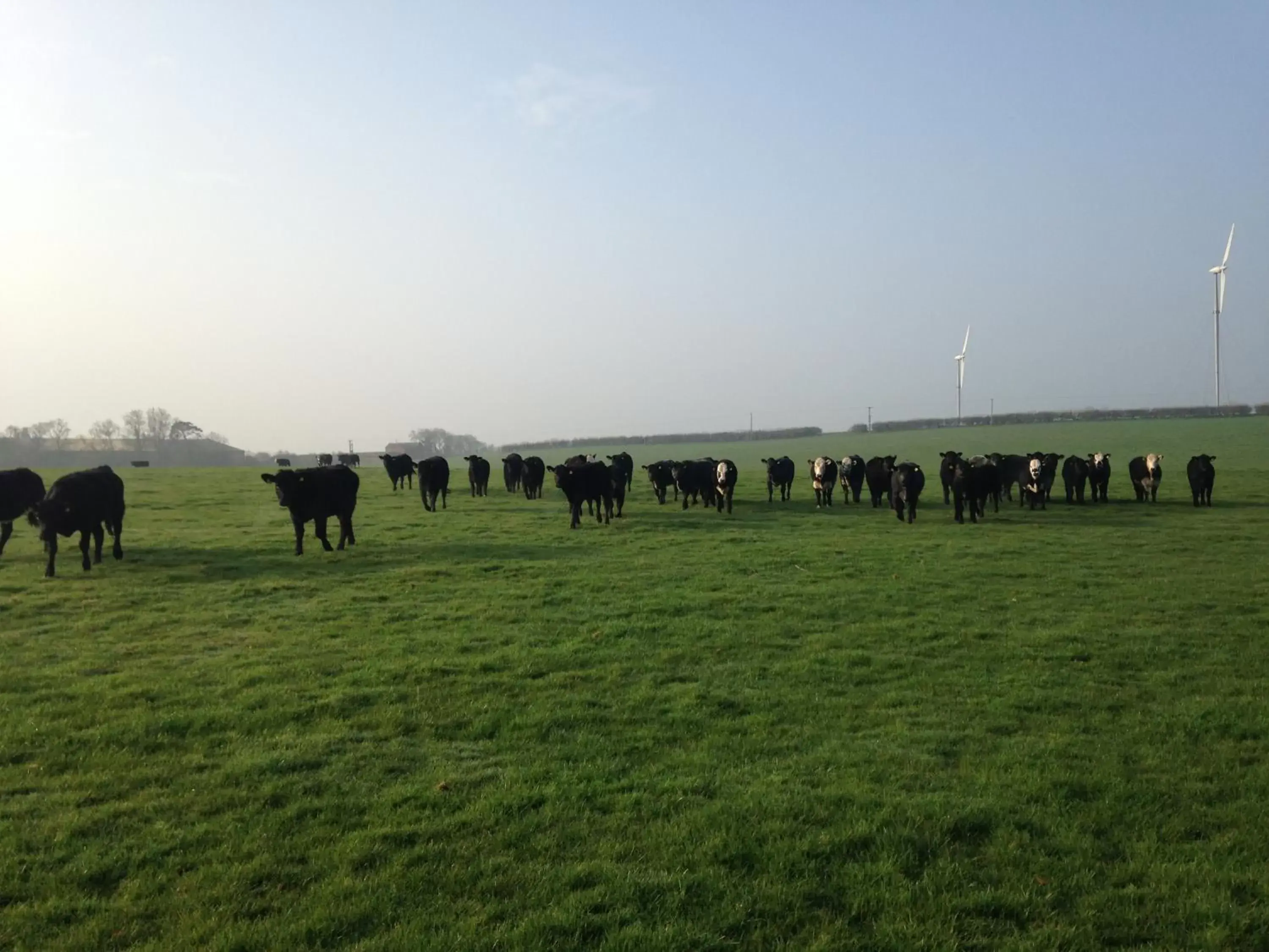 Murcott Mill Murcott Mill