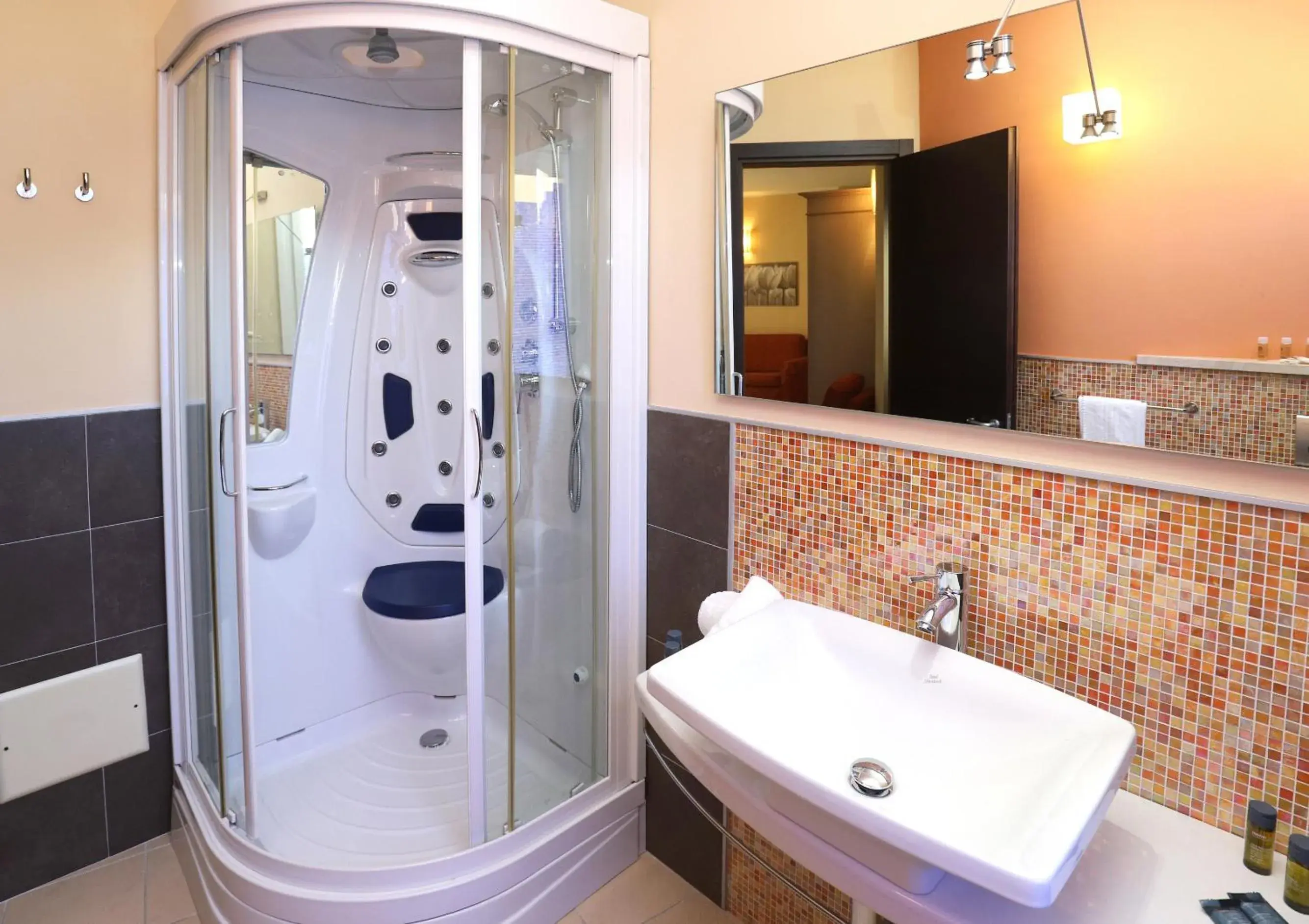 Junior Suite in Janus Hotel Junior Suite in Janus Hotel