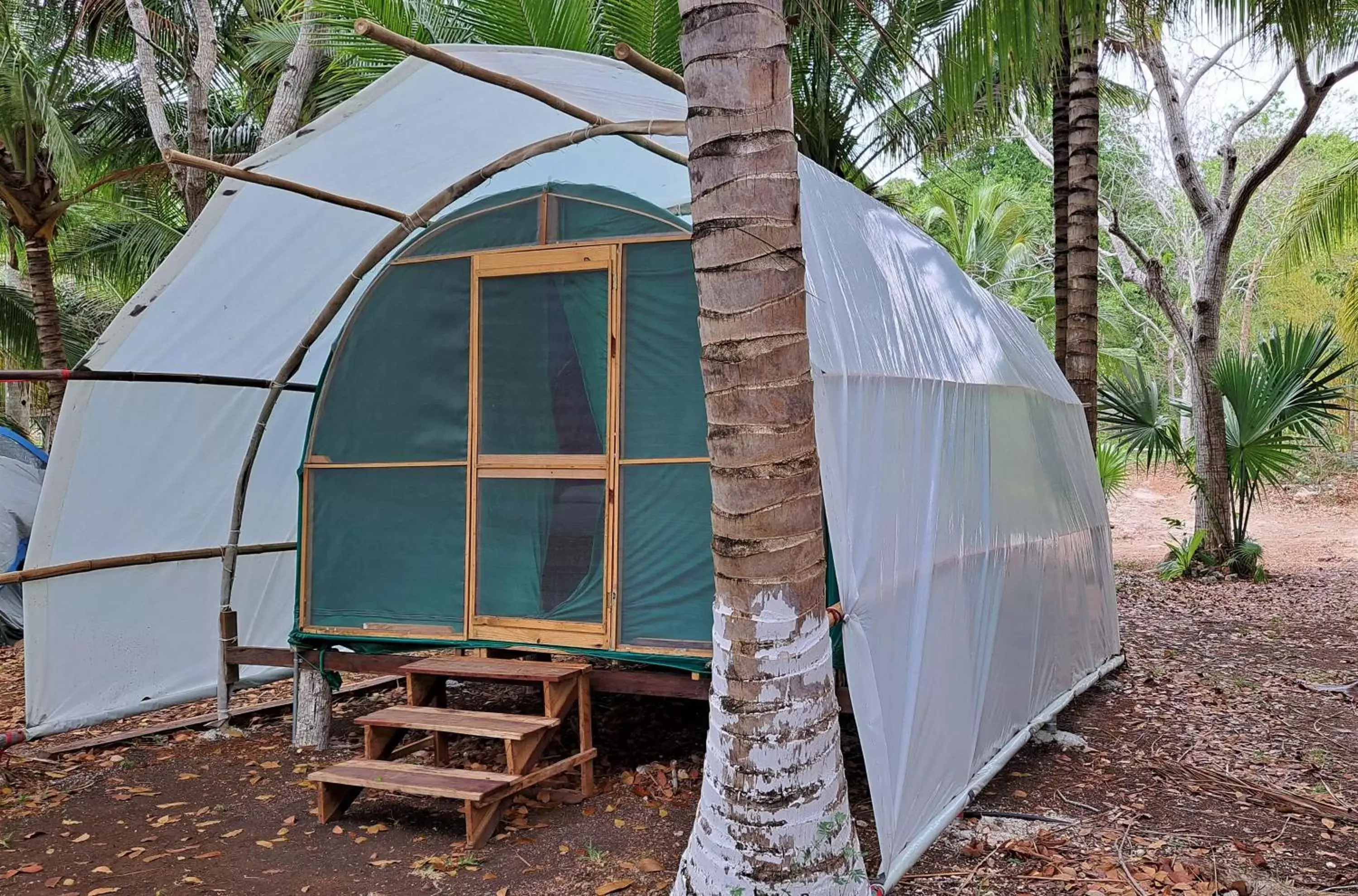 Standard Cabin on Boat in Cayuco Maya Standard Cabin on Boat in Cayuco Maya