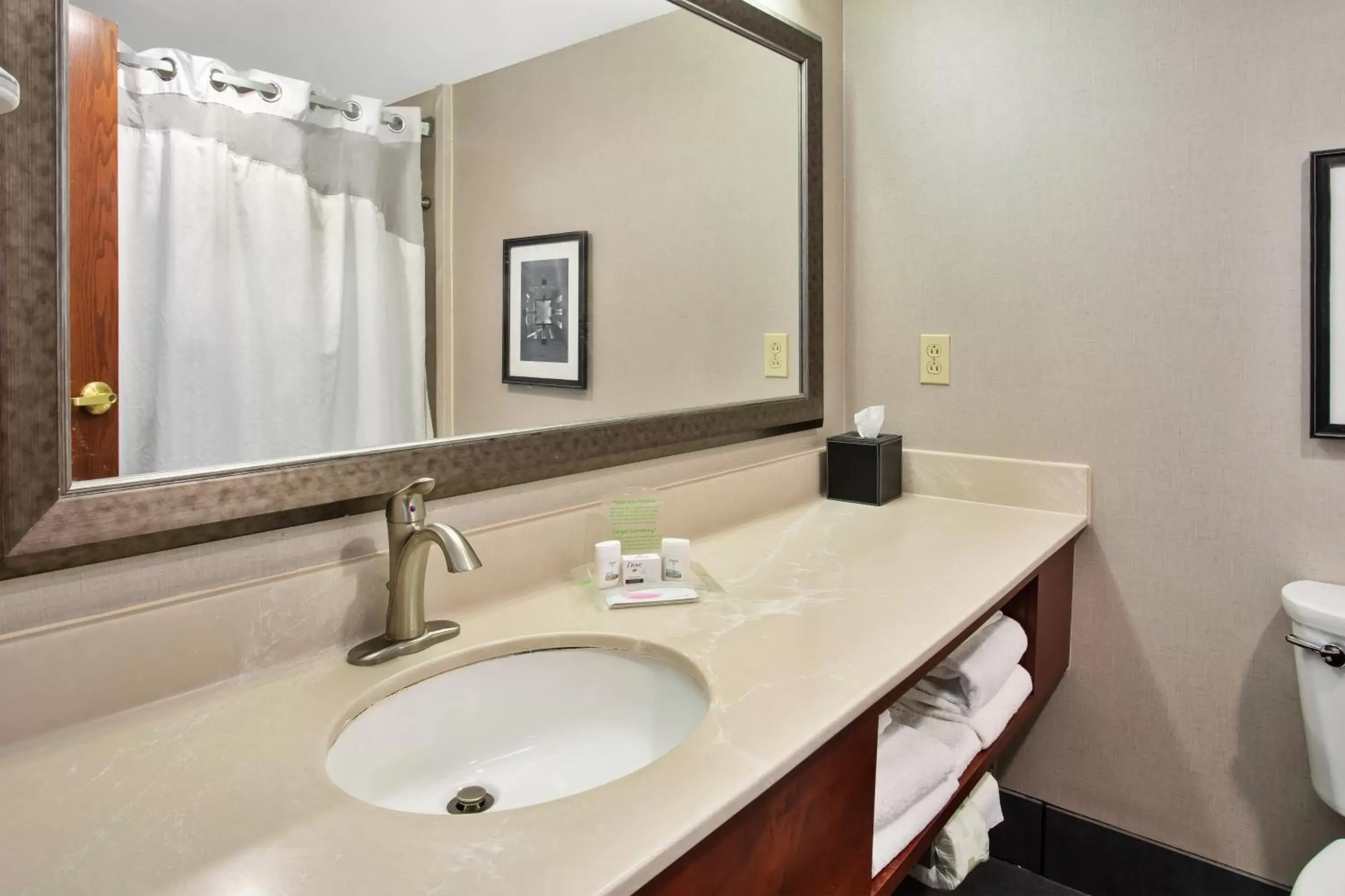 Deluxe Twin Room with Accessible Roll-In Shower - Non-Smoking in Holiday Inn University Plaza-Bowling Green, an IHG Hotel Deluxe Twin Room with Accessible Roll-In Shower - Non-Smoking in Holiday Inn University Plaza-Bowling Green, an IHG Hotel