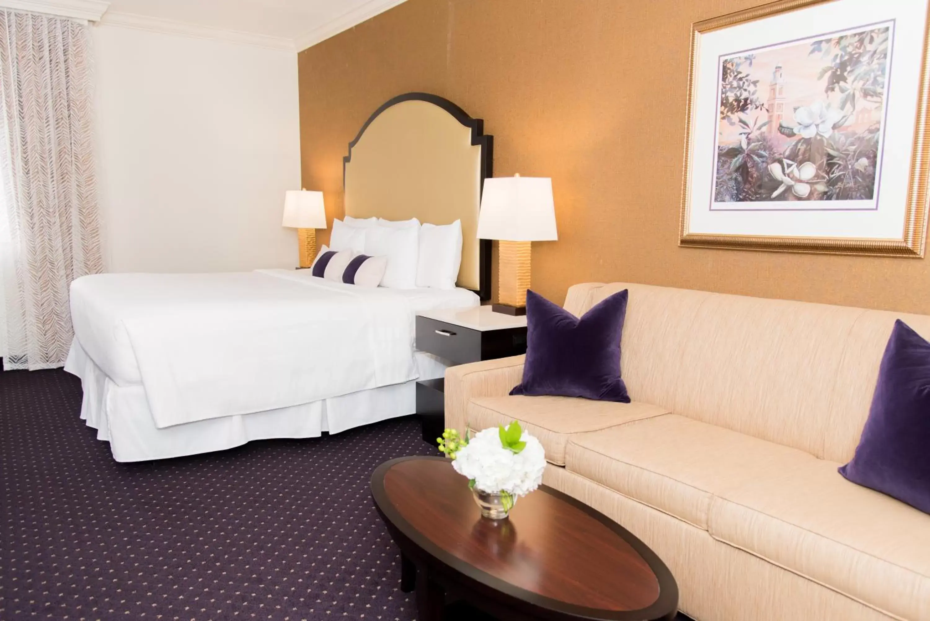 King Studio with Sofa Bed - single occupancy in The Cook Hotel and Conference Center at LSU King Studio with Sofa Bed - single occupancy in The Cook Hotel and Conference Center at LSU