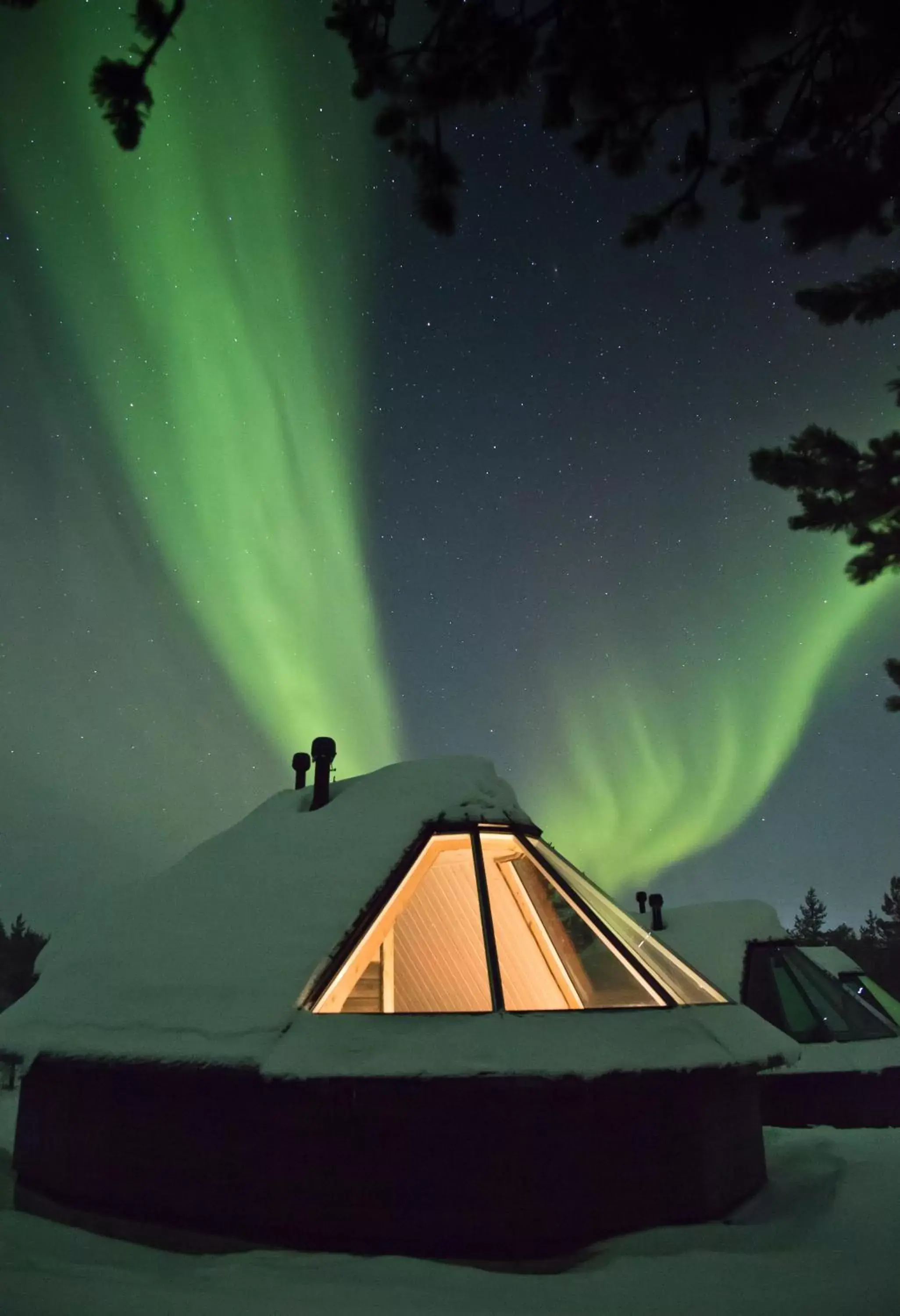 Log Cabin with Glass Ceiling in Wilderness Hotel Nangu & Igloos Log Cabin with Glass Ceiling in Wilderness Hotel Nangu & Igloos