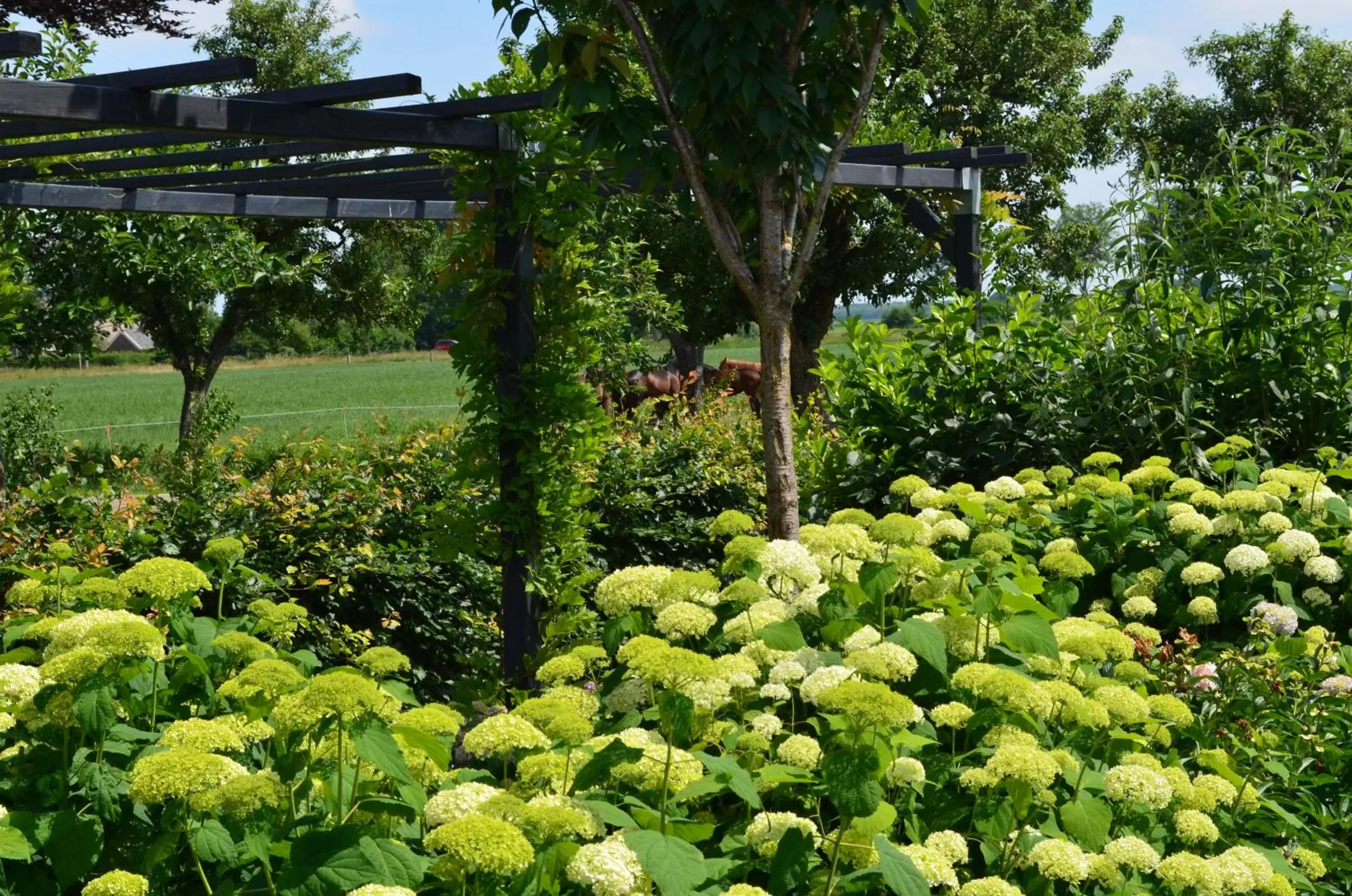 B&B “de Boerlarij” B&B “de Boerlarij”