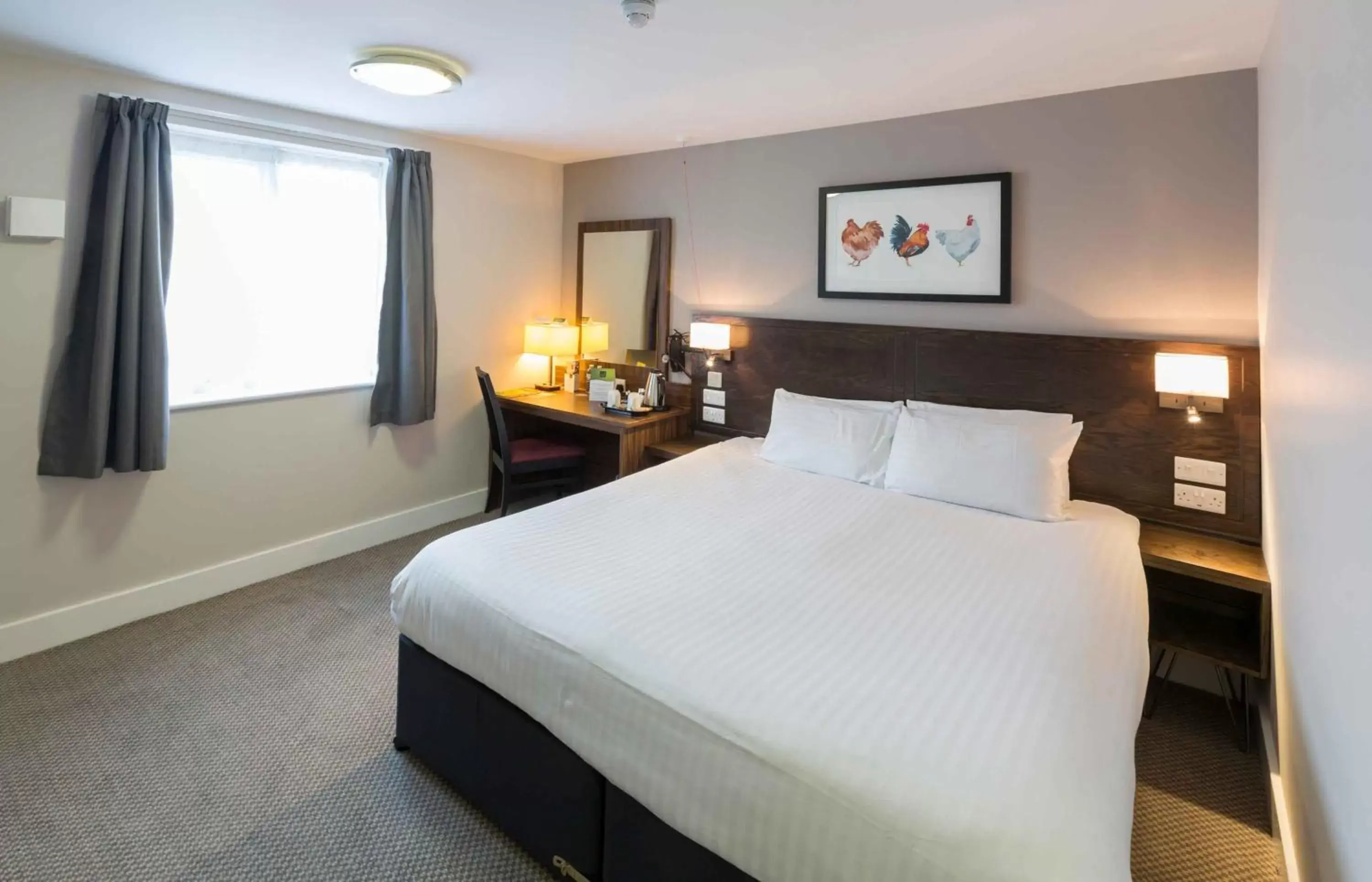 Double Room - Disability Access in Starling Cloud Double Room - Disability Access in Starling Cloud