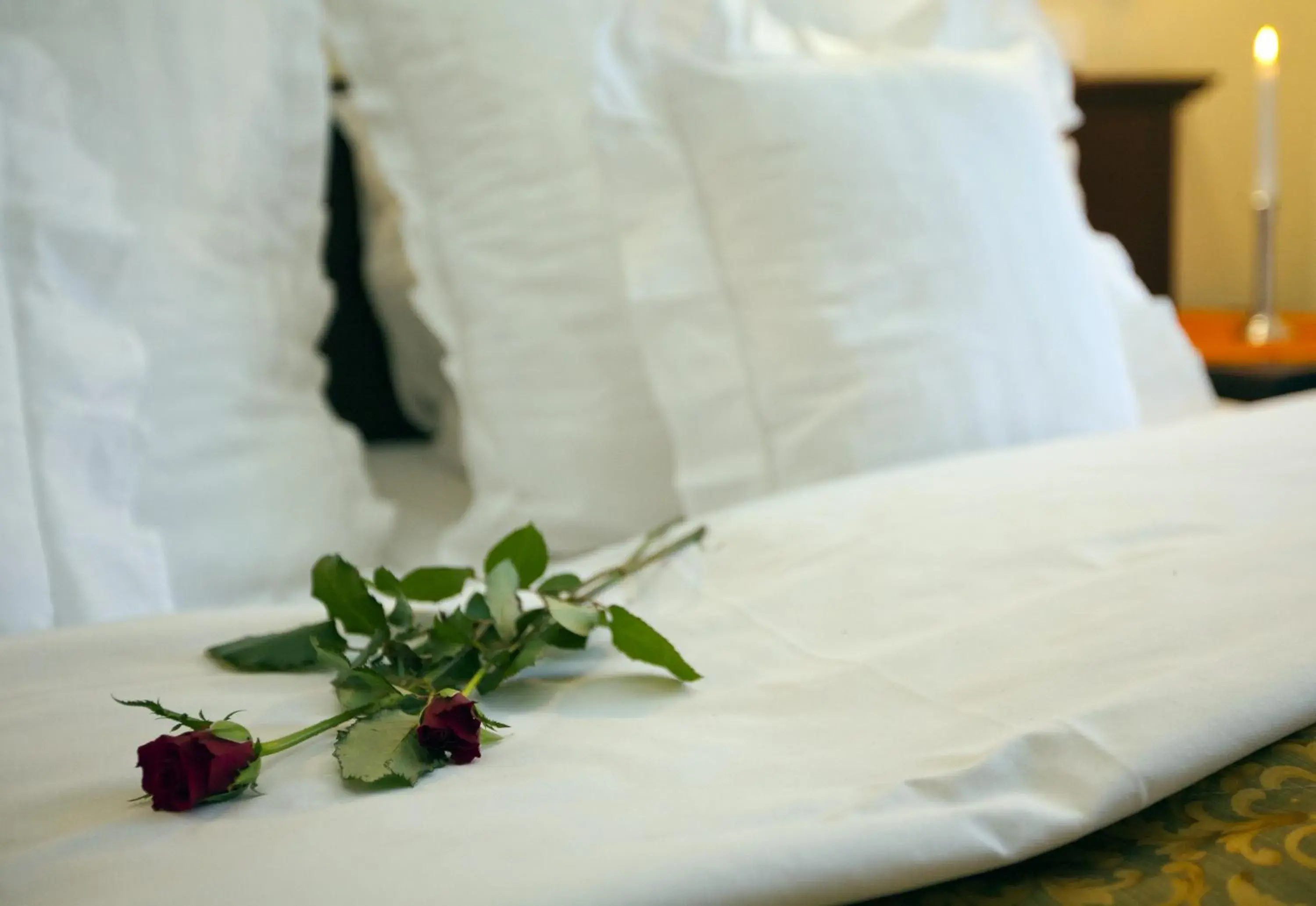 Single Room in Hotel Excelsior Single Room in Hotel Excelsior