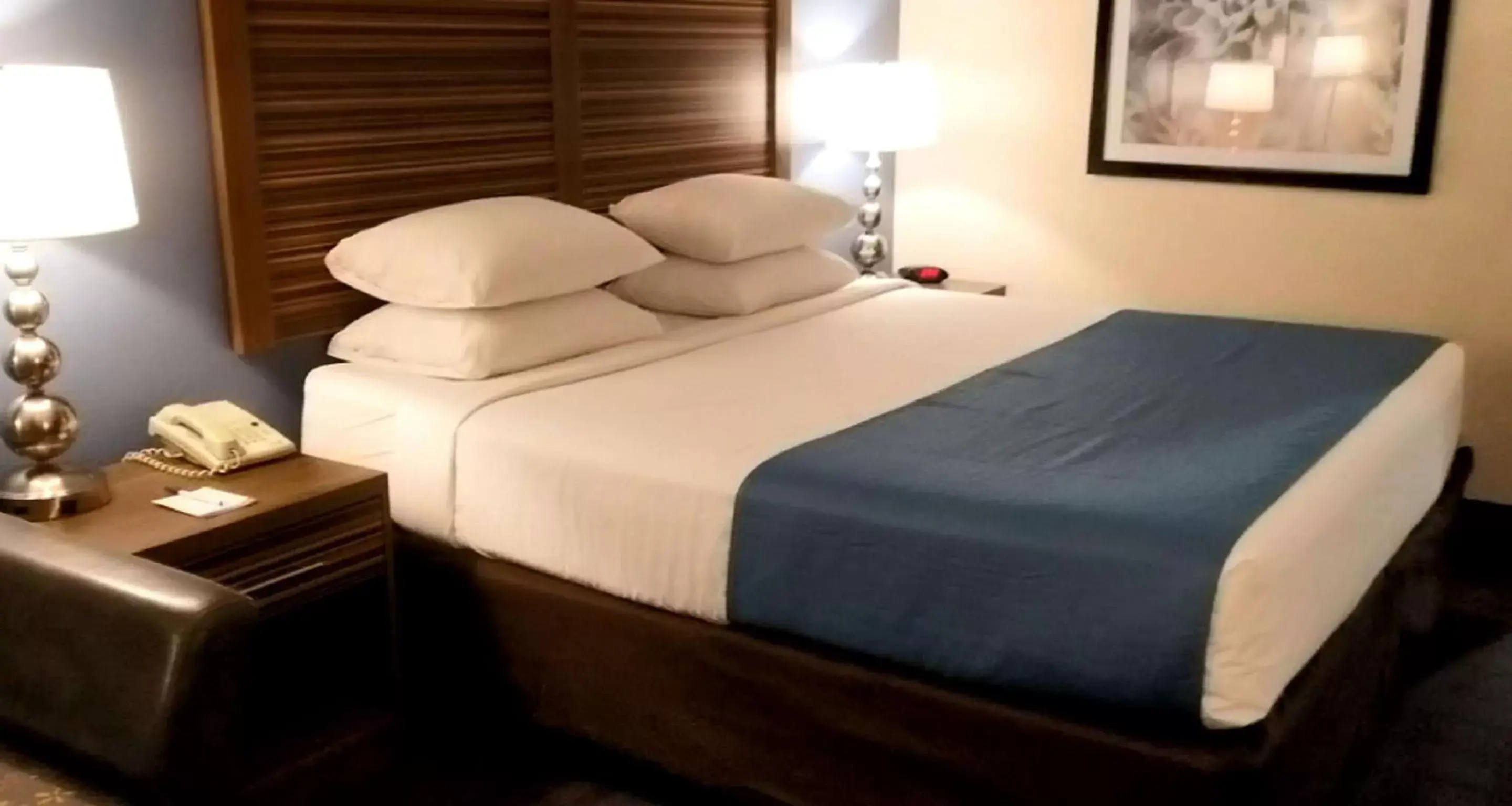 King Room with Mobility Accessible Tub in Best Western Fishers Indianapolis King Room with Mobility Accessible Tub in Best Western Fishers Indianapolis