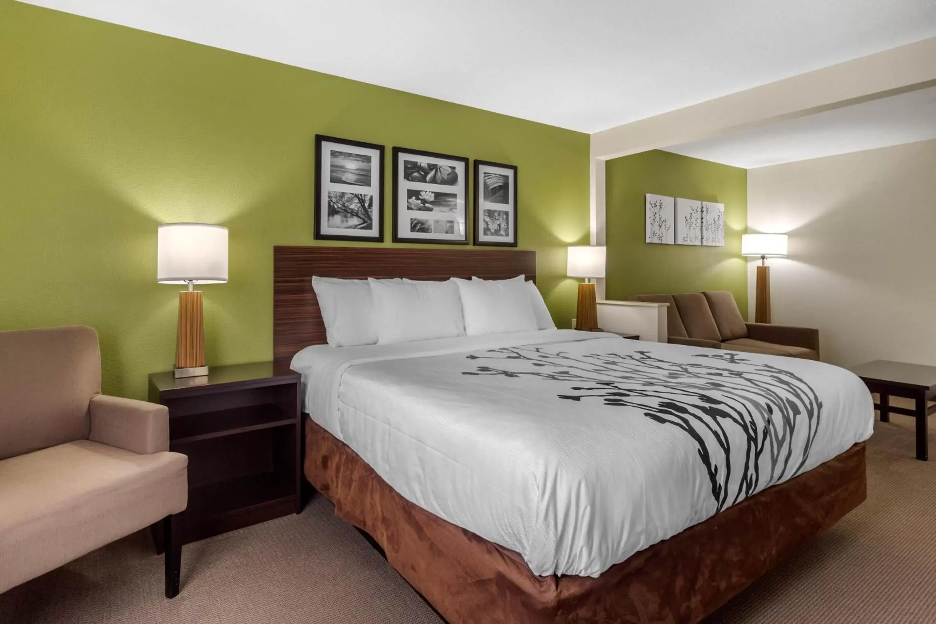 King Suite - Accessible/Non-Smoking in Sleep Inn & Suites Allendale King Suite - Accessible/Non-Smoking in Sleep Inn & Suites Allendale