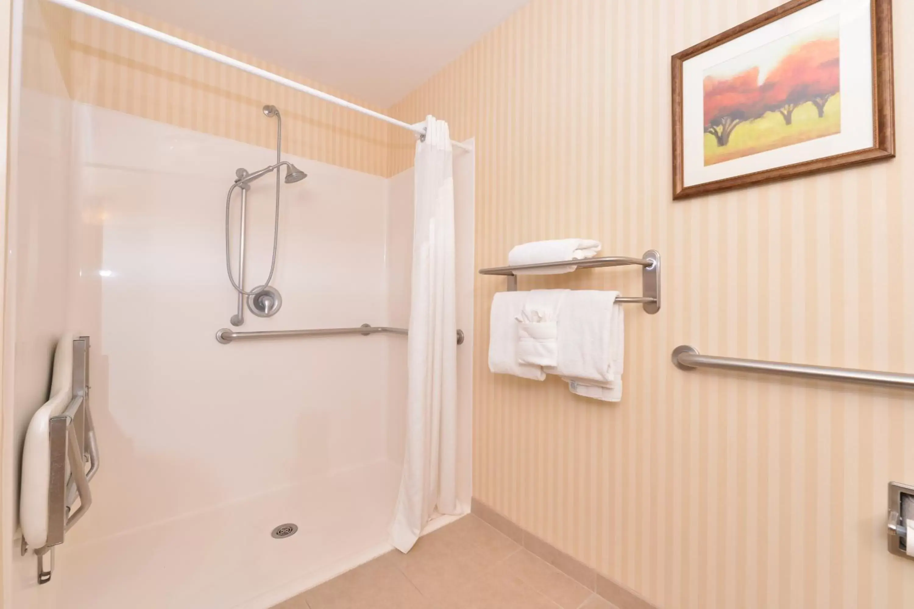 Suite - Mobility Access Roll in Shower/Non-Smoking in Holiday Inn Express Rawlins by IHG Suite - Mobility Access Roll in Shower/Non-Smoking in Holiday Inn Express Rawlins by IHG