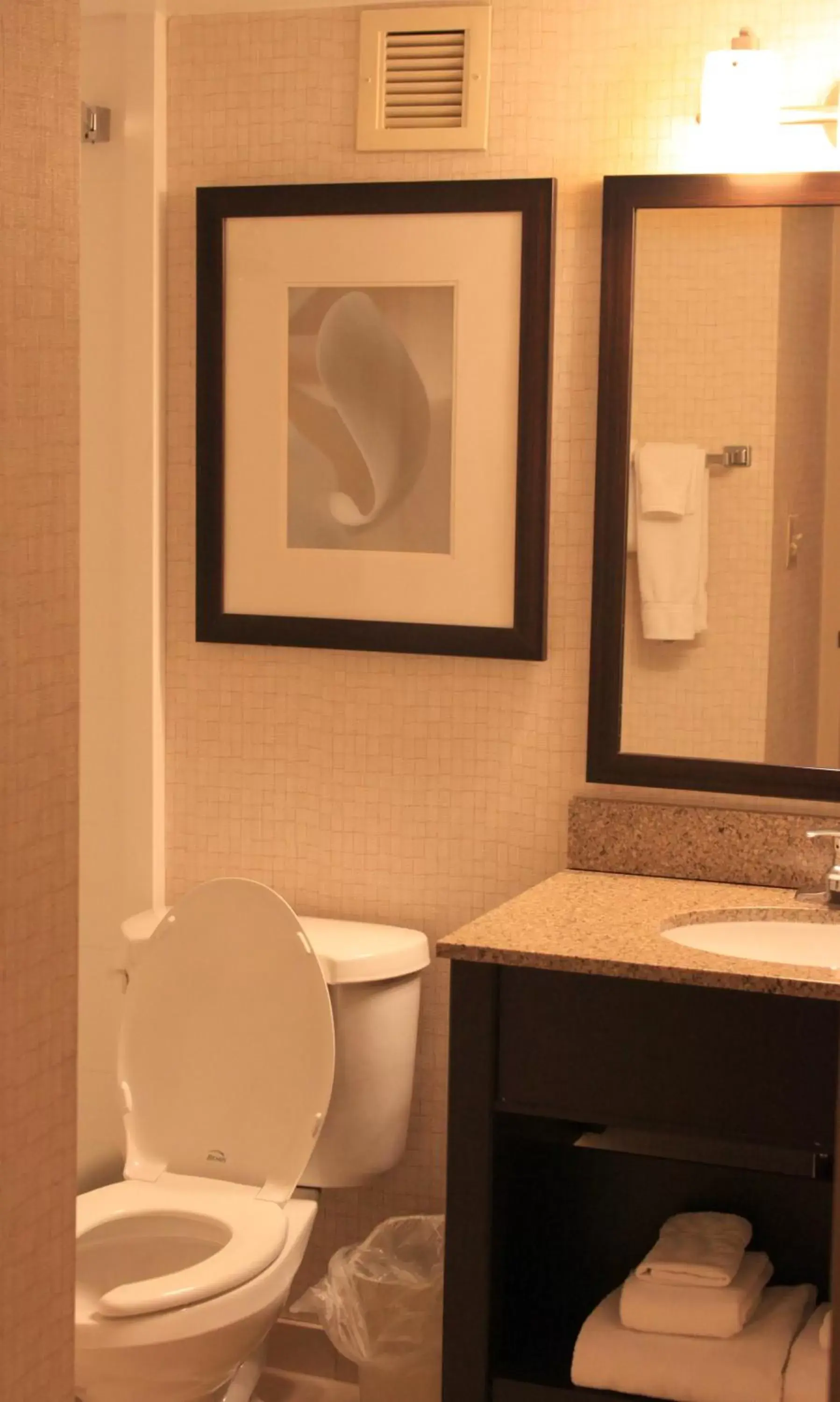 Standard Double Room with Two Double Beds - Non Smoking in Clarion Inn Standard Double Room with Two Double Beds - Non Smoking in Clarion Inn