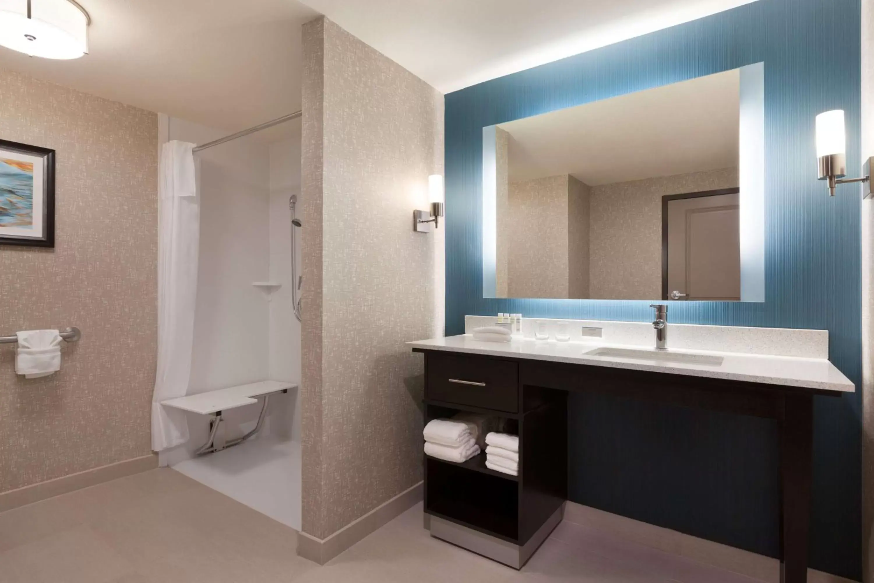 King Studio with Roll-In Shower - Disability Access/Non-Smoking in Homewood Suites by Hilton North Houston/Spring King Studio with Roll-In Shower - Disability Access/Non-Smoking in Homewood Suites by Hilton North Houston/Spring