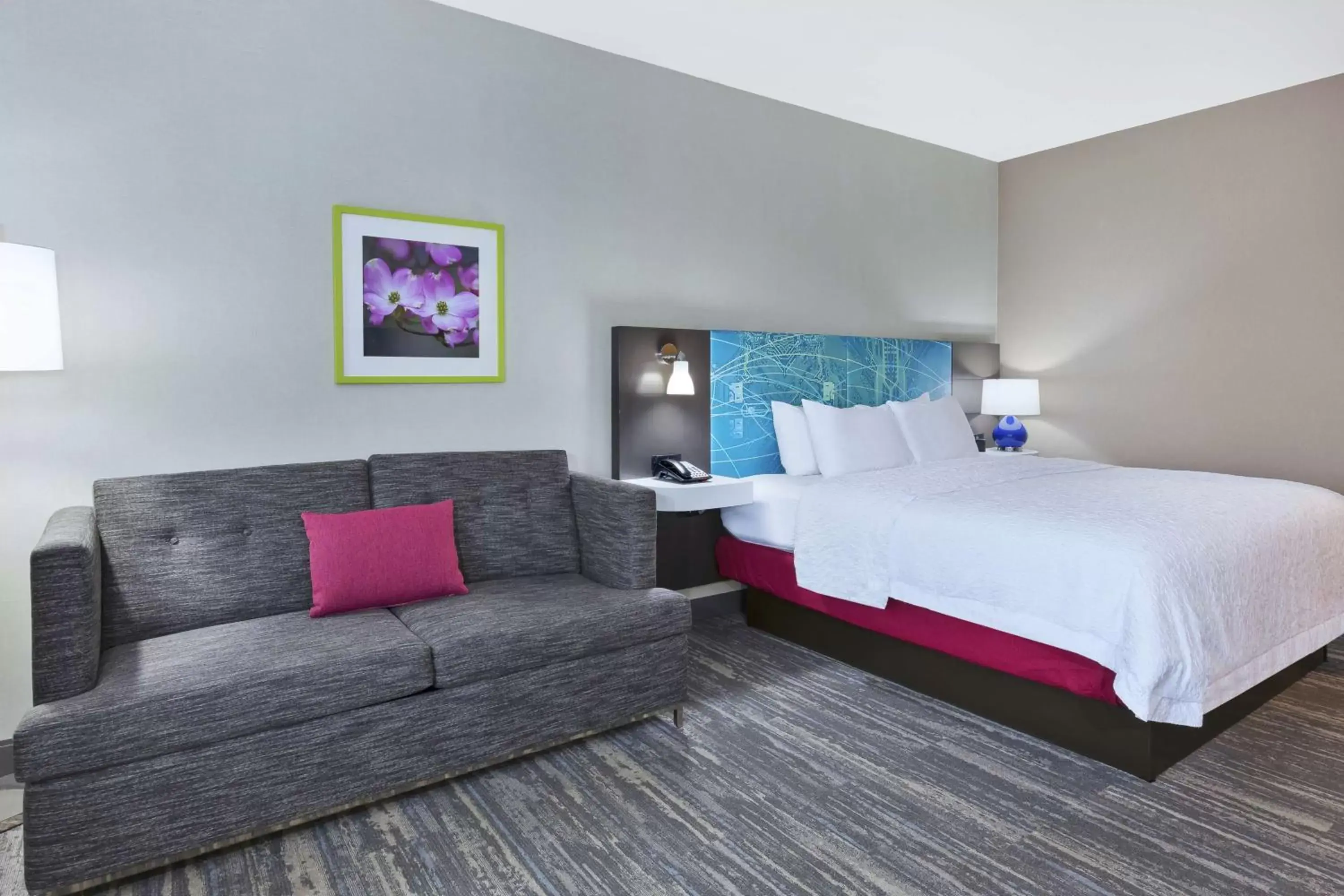 King Room with Sofa Bed in Hampton Inn Sedalia King Room with Sofa Bed in Hampton Inn Sedalia