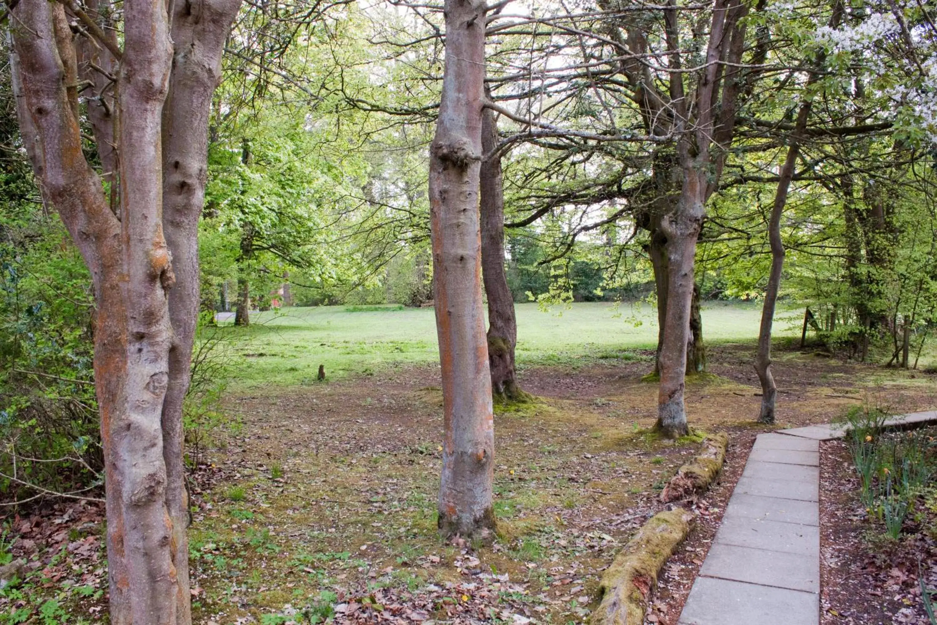 Superior Chalet in Bankton House Superior Chalet in Bankton House