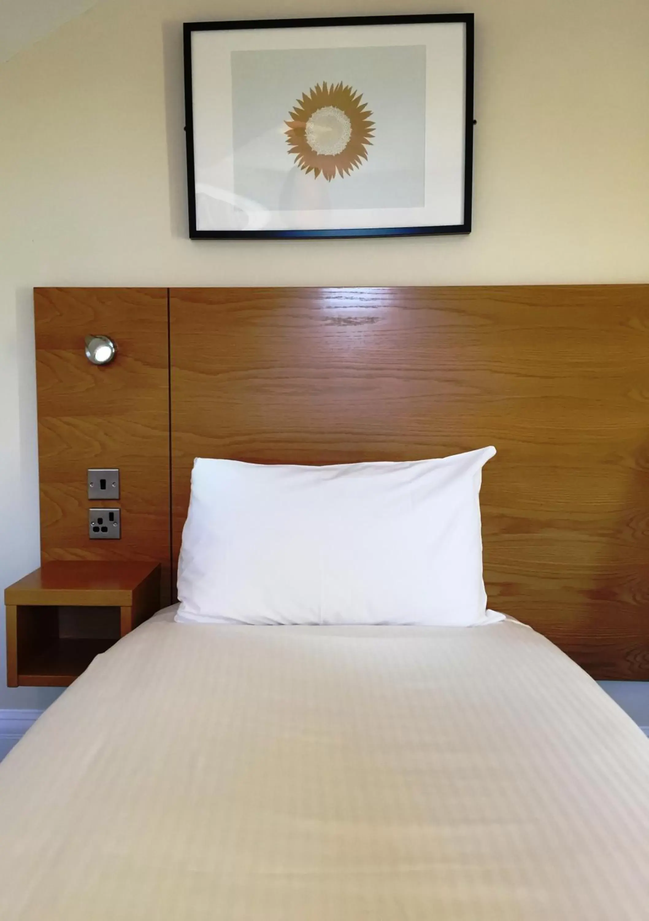 Single Room - single occupancy in Stotfield Hotel Single Room - single occupancy in Stotfield Hotel
