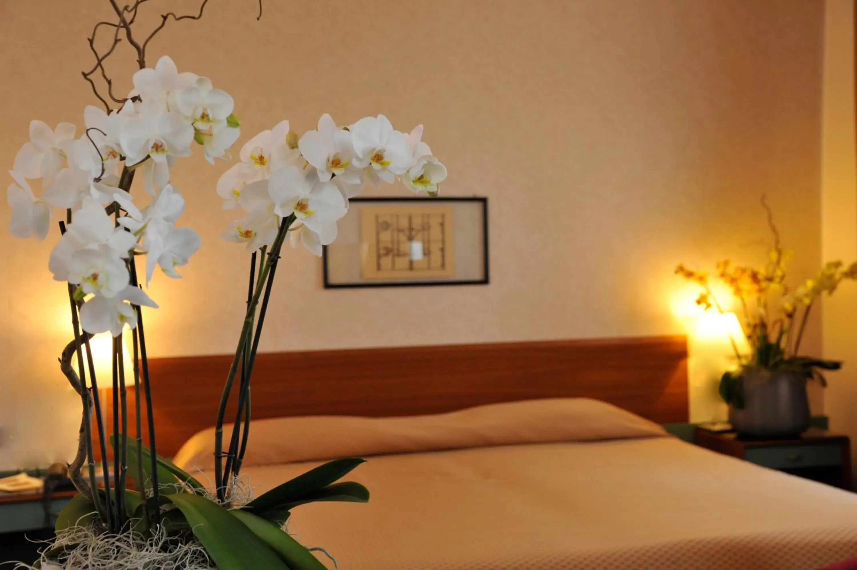 Double or Twin Room in Hotel Filanda Double or Twin Room in Hotel Filanda