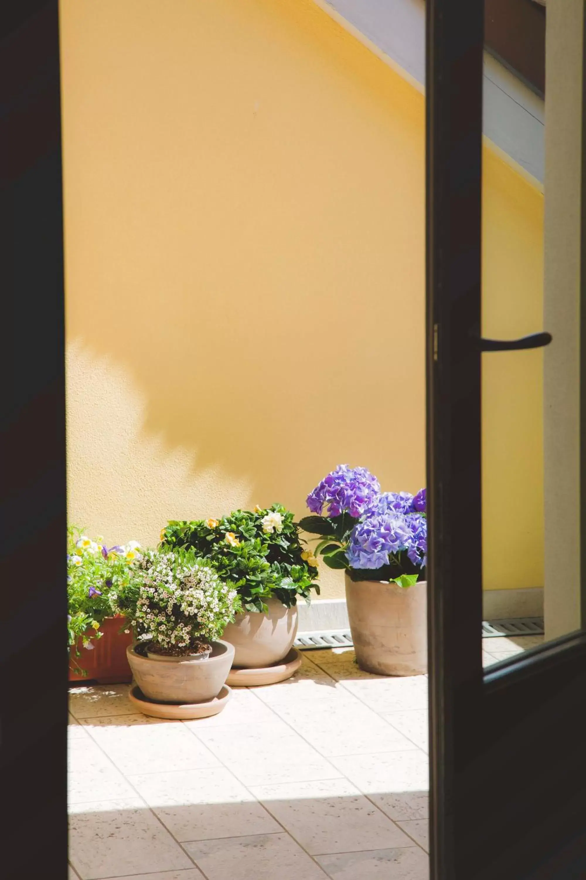 Apartment with Terrace in Domus Residence Apartment with Terrace in Domus Residence