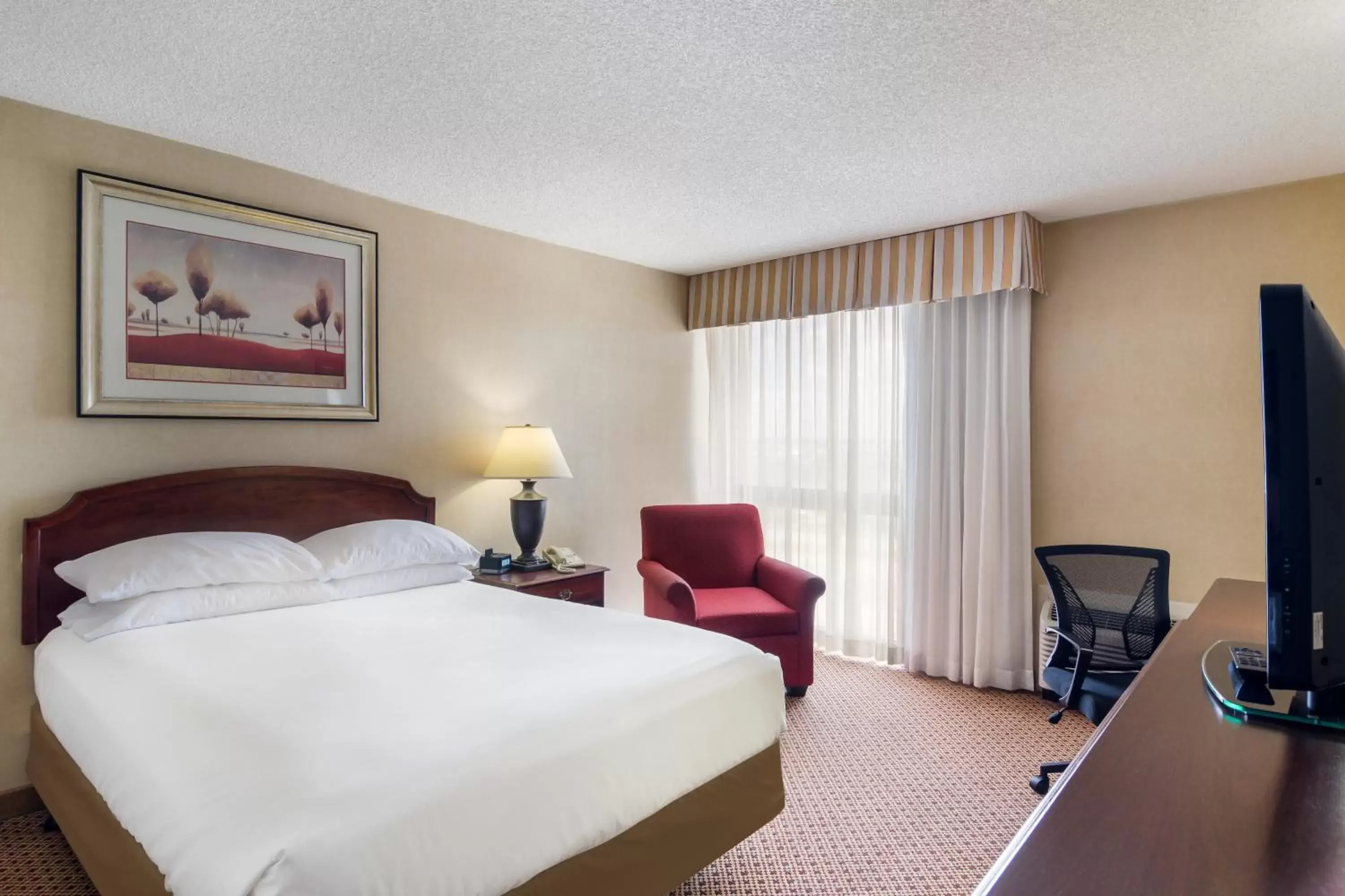 One Queen Bed in Red Lion Hotel Cheyenne One Queen Bed in Red Lion Hotel Cheyenne