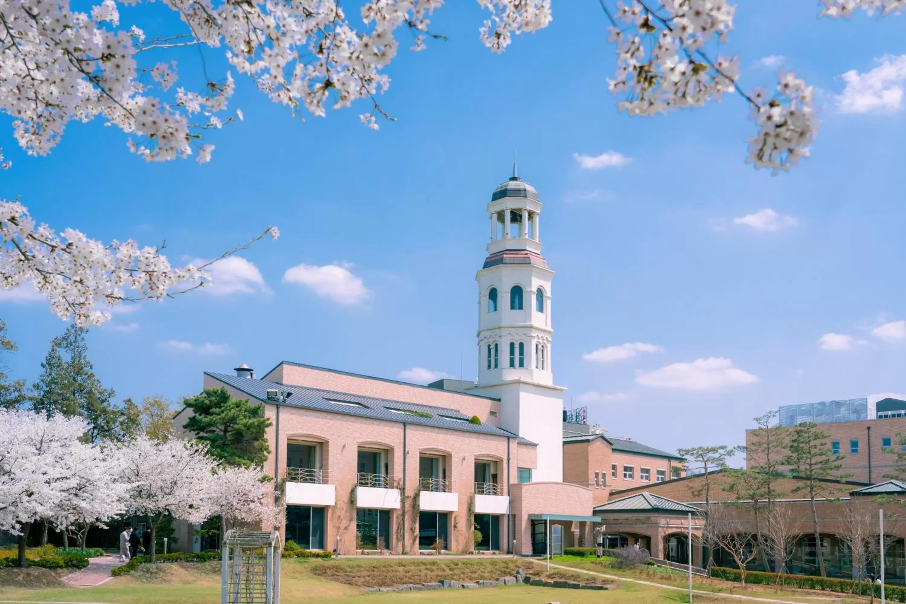 Mayfield Hotel Seoul Mayfield Hotel Seoul