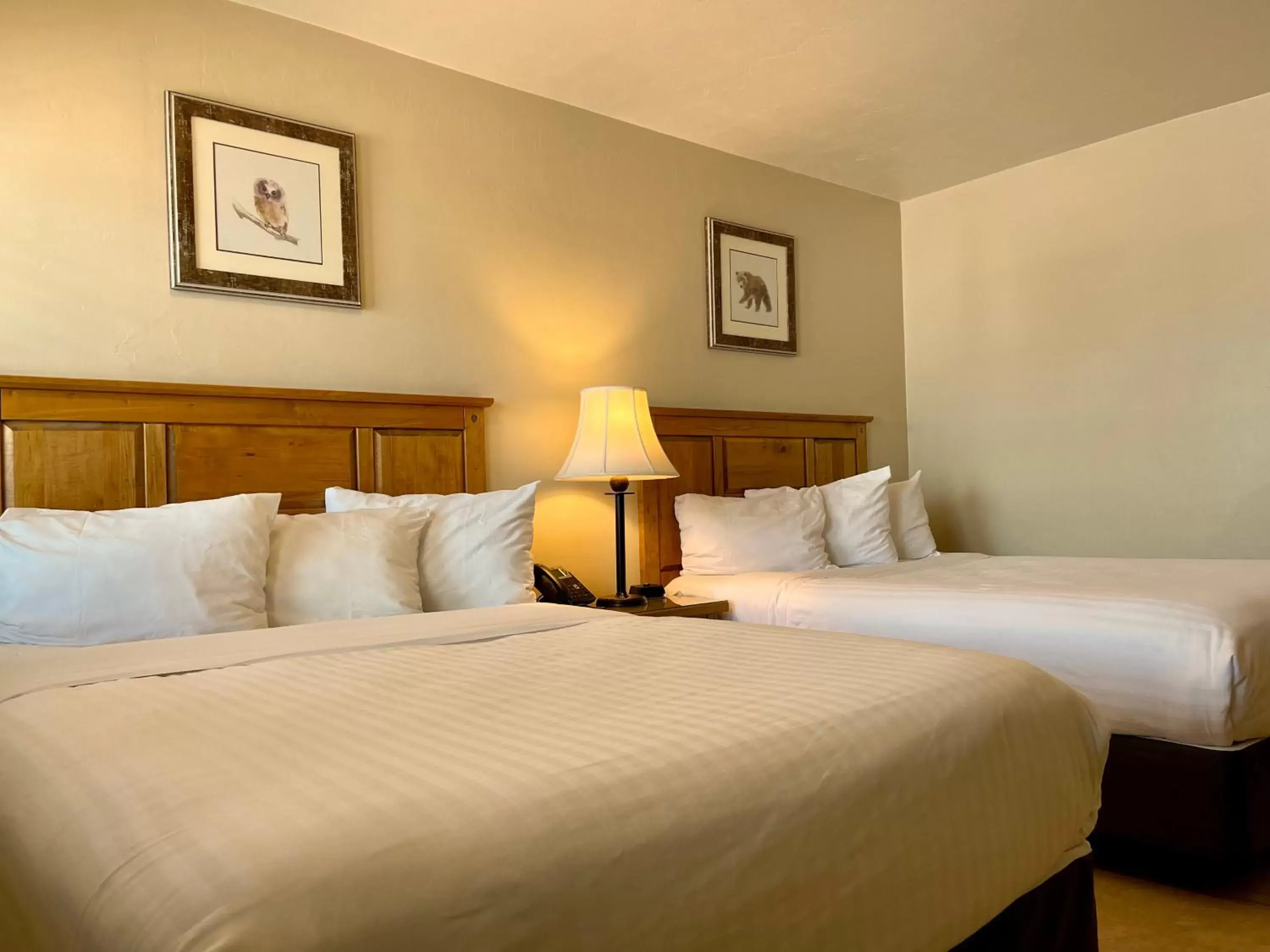 Queen Room - single occupancy in Arizona Sunset Inn & Suites Queen Room - single occupancy in Arizona Sunset Inn & Suites