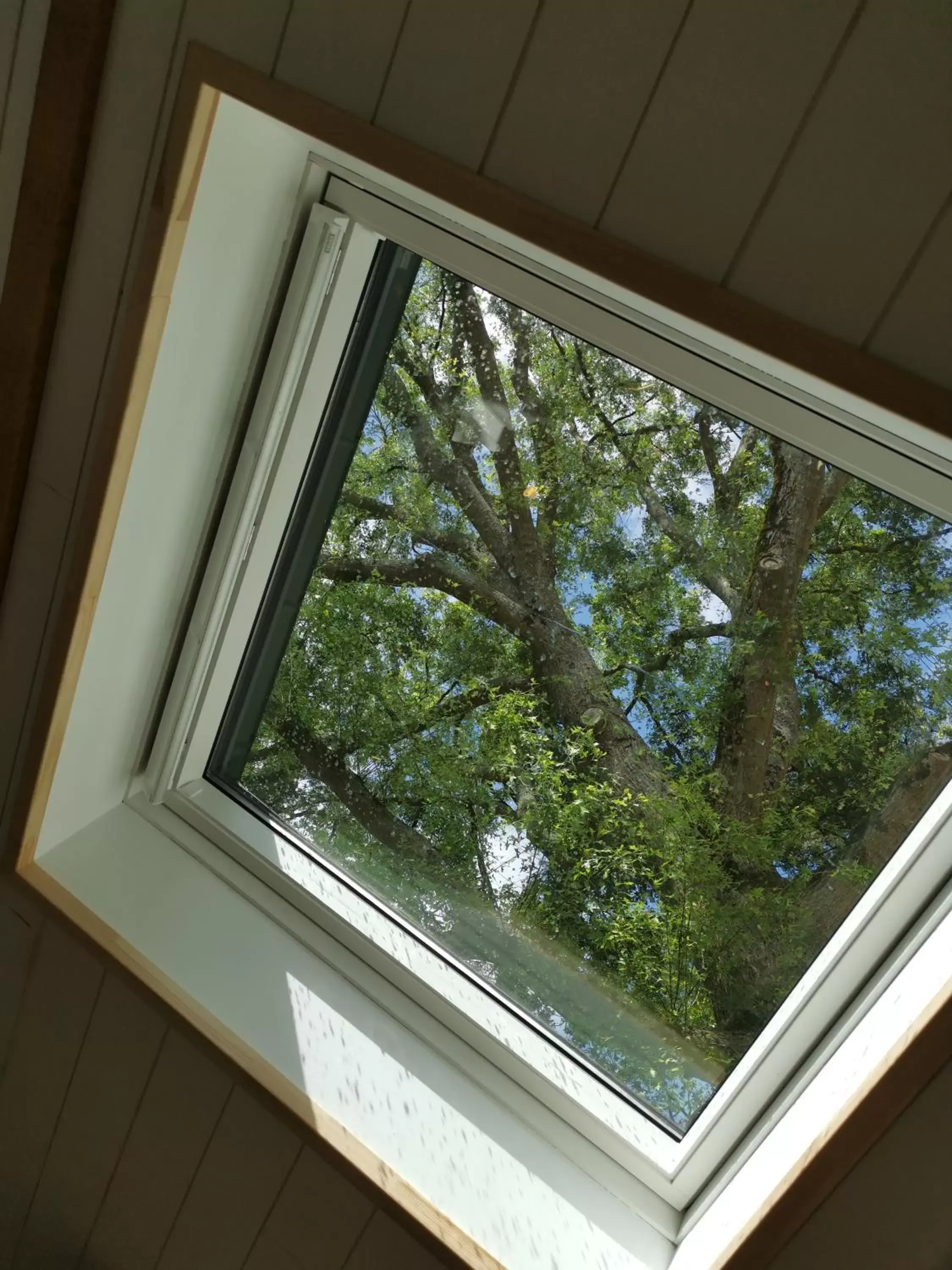 Queen Room in Le moulin de La Retardière Queen Room in Le moulin de La Retardière