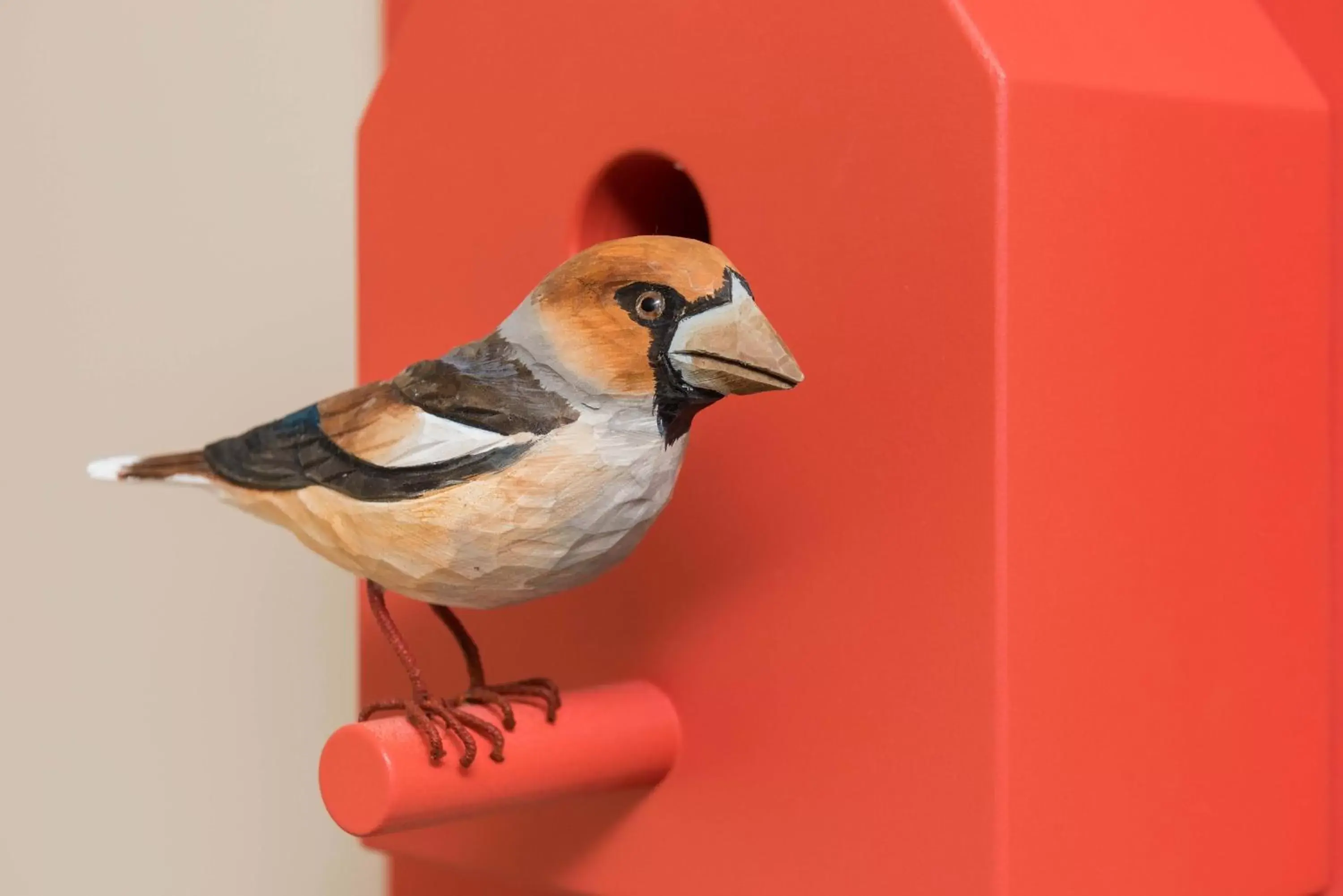 Double Room in Hotel zum Fischer Double Room in Hotel zum Fischer