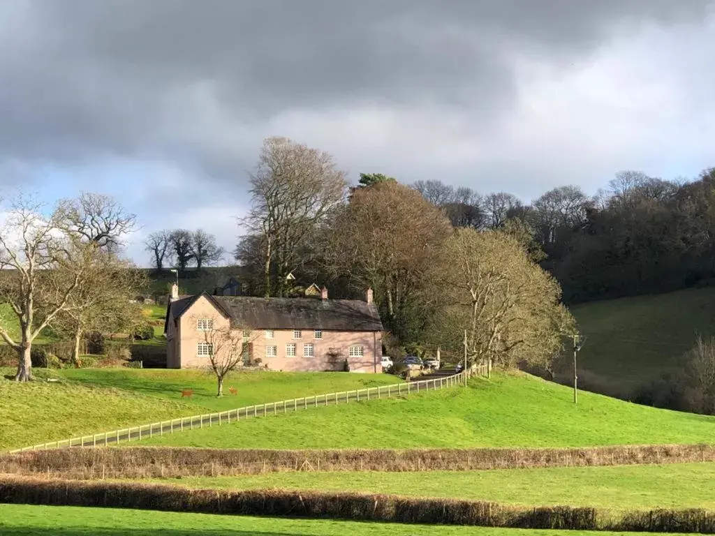 Walnut Tree Farm Walnut Tree Farm