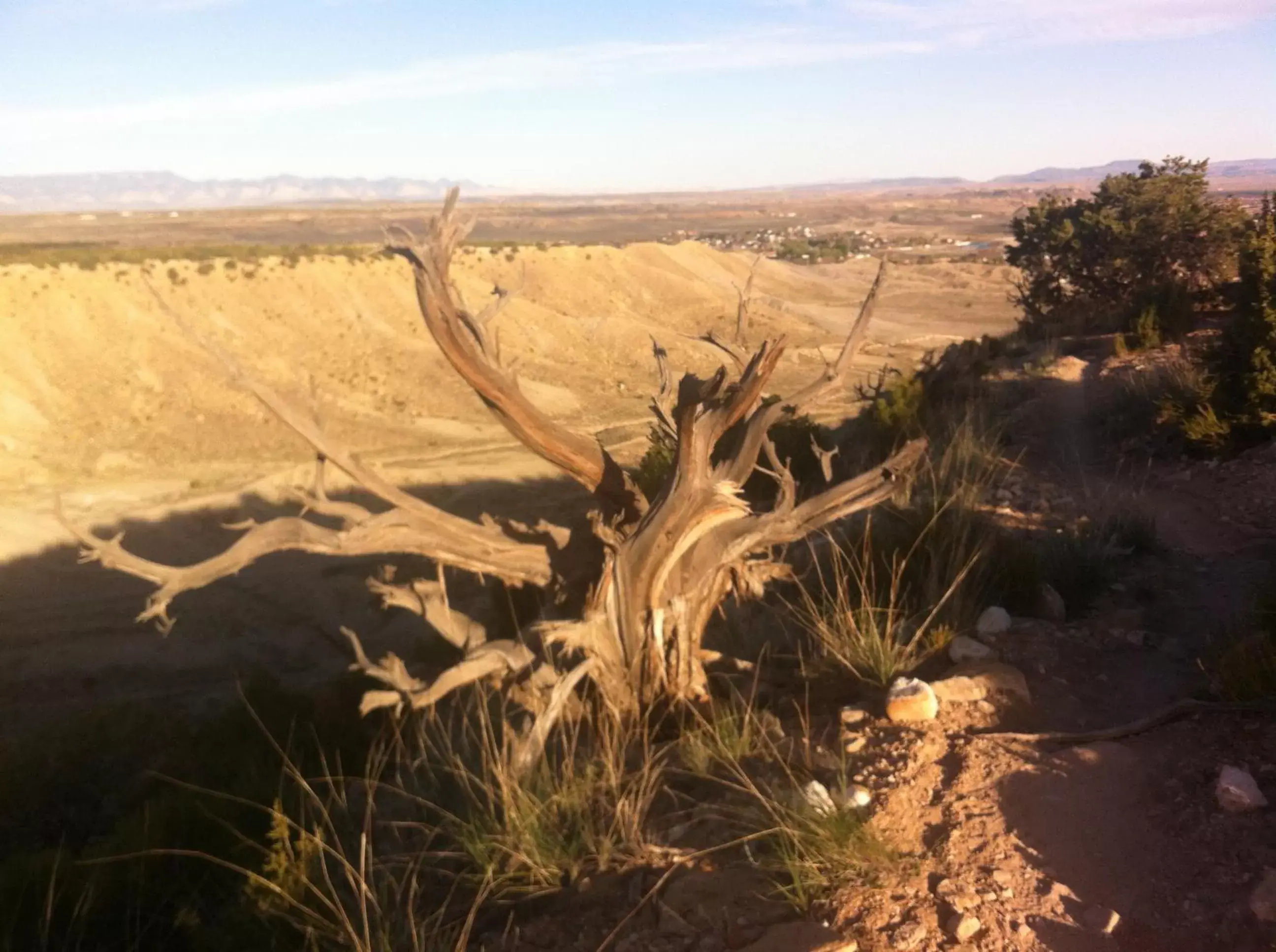 Legacy Inn Legacy Inn