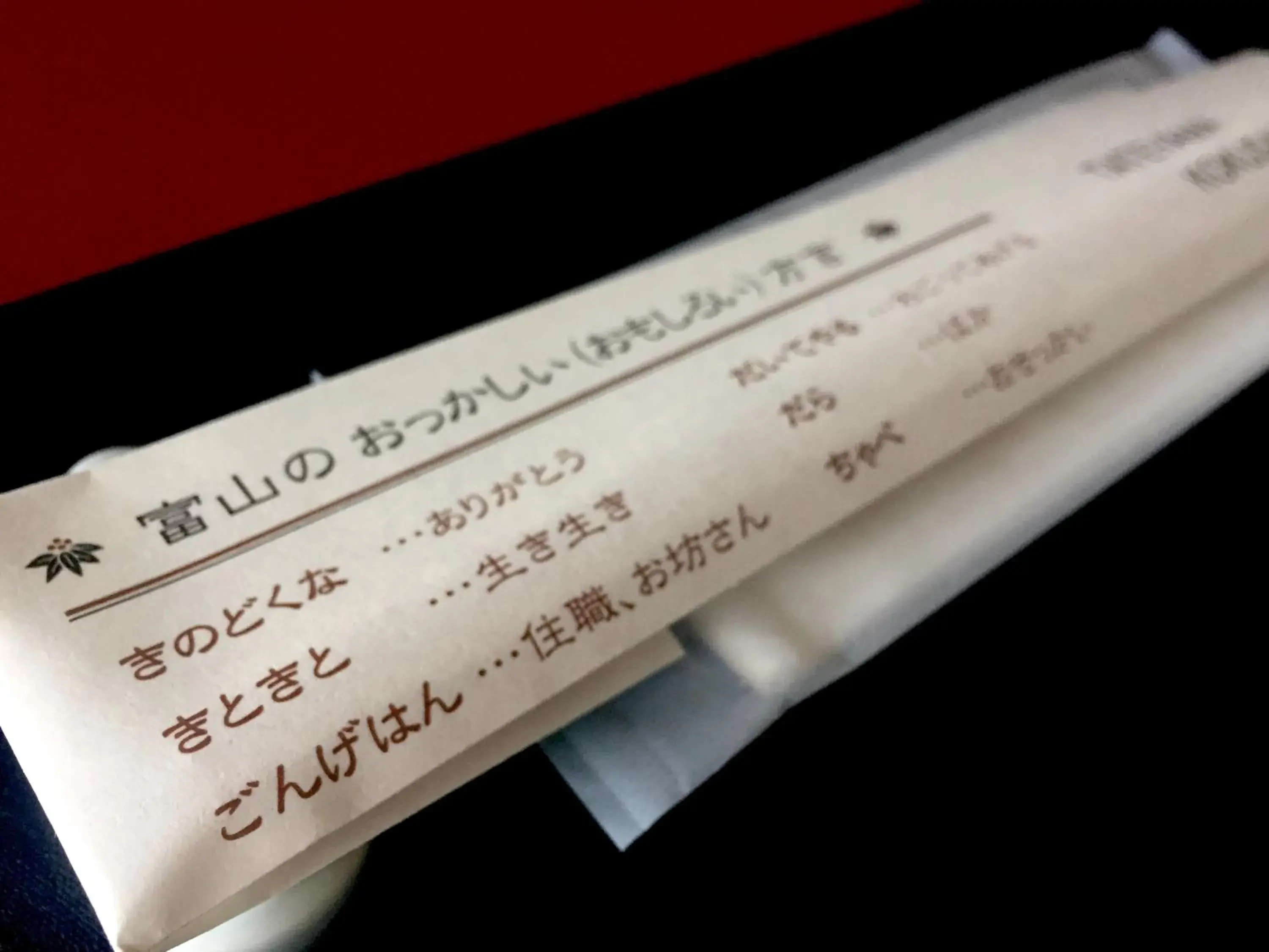 Tateyama Kokusai Hotel Tateyama Kokusai Hotel