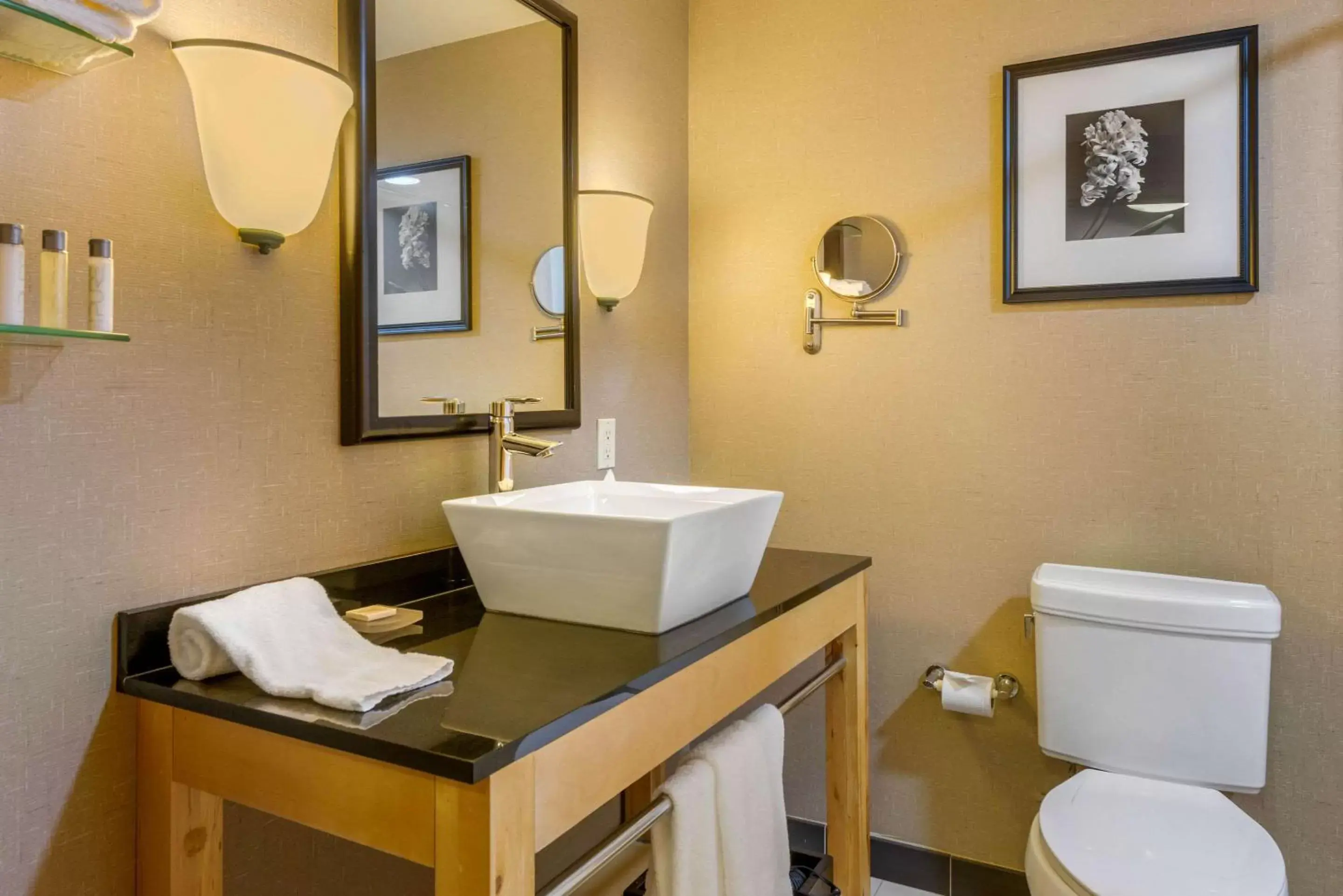 King Suite with Transfer Shower - Accessible/Non-Smoking in Cambria Hotel Ft Lauderdale, Airport South & Cruise Port King Suite with Transfer Shower - Accessible/Non-Smoking in Cambria Hotel Ft Lauderdale, Airport South & Cruise Port