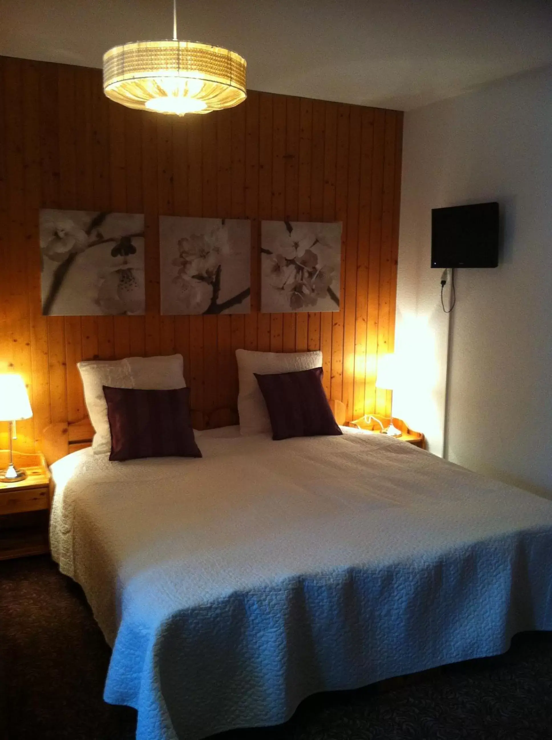 Double Room in Hasli Lodge Double Room in Hasli Lodge