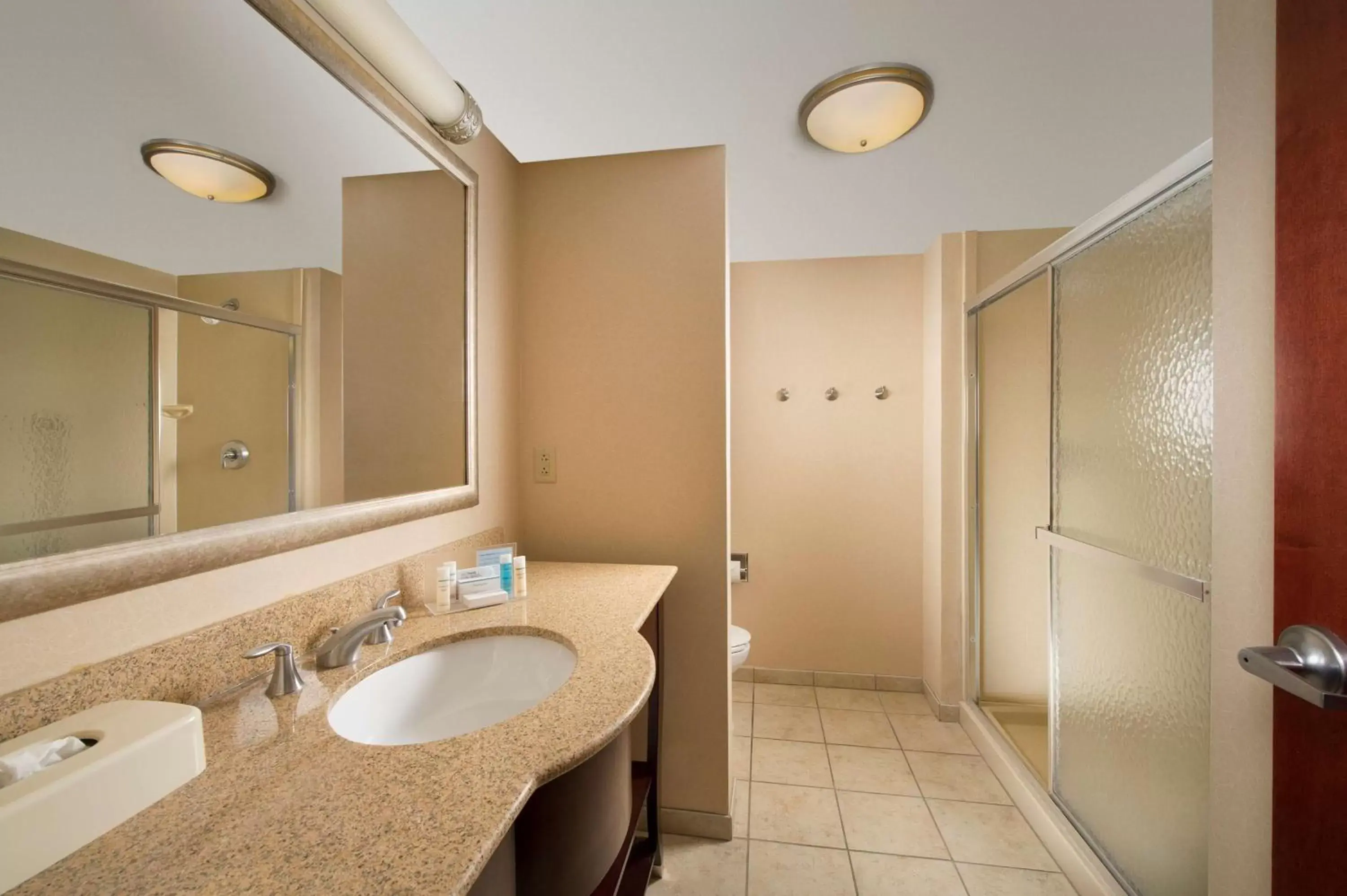King Room - Disability Access with a Bathtub/Non-Smoking in Hampton Inn Seneca Falls King Room - Disability Access with a Bathtub/Non-Smoking in Hampton Inn Seneca Falls